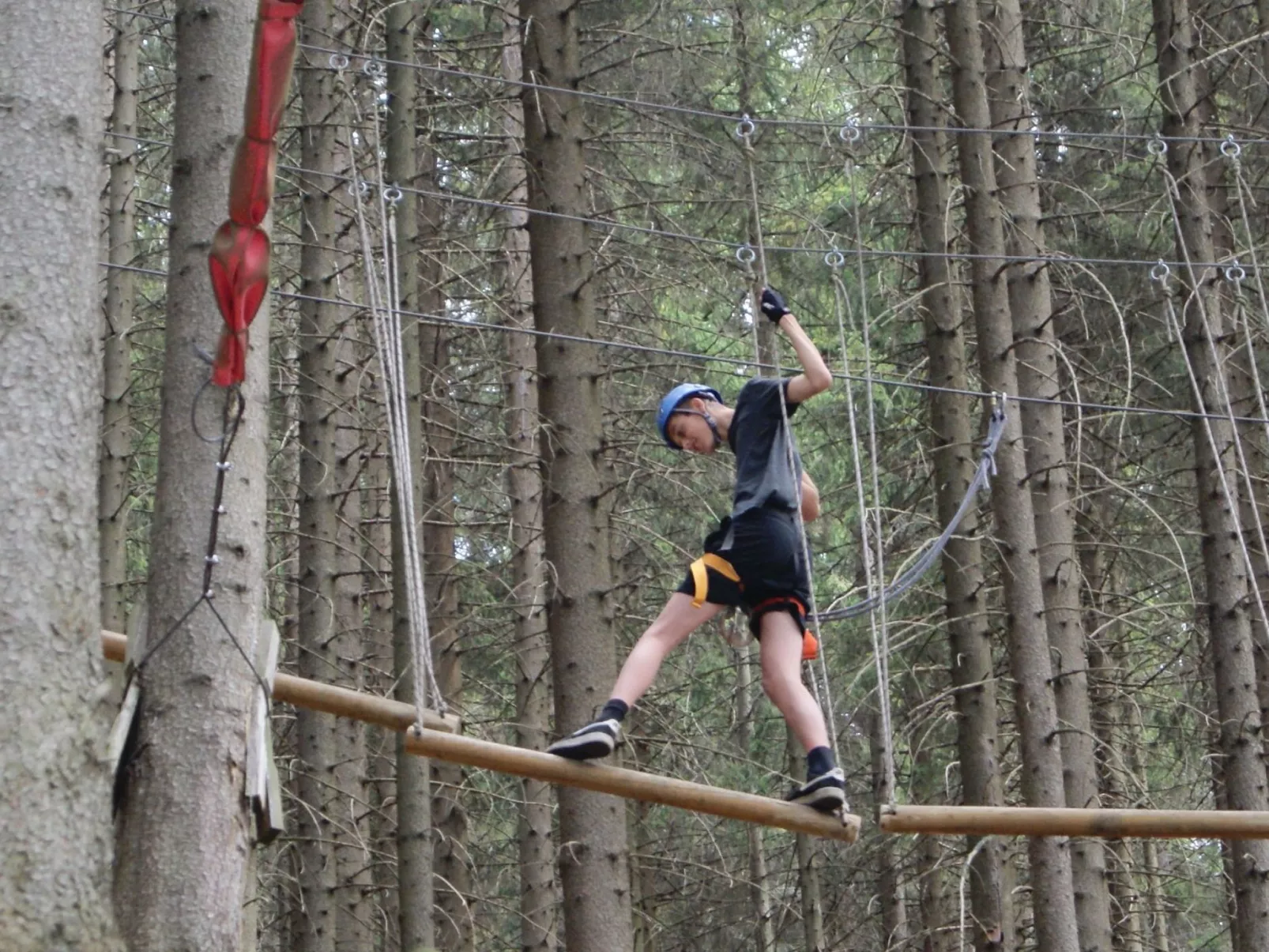 In natürlicher Umgebung-Draußen