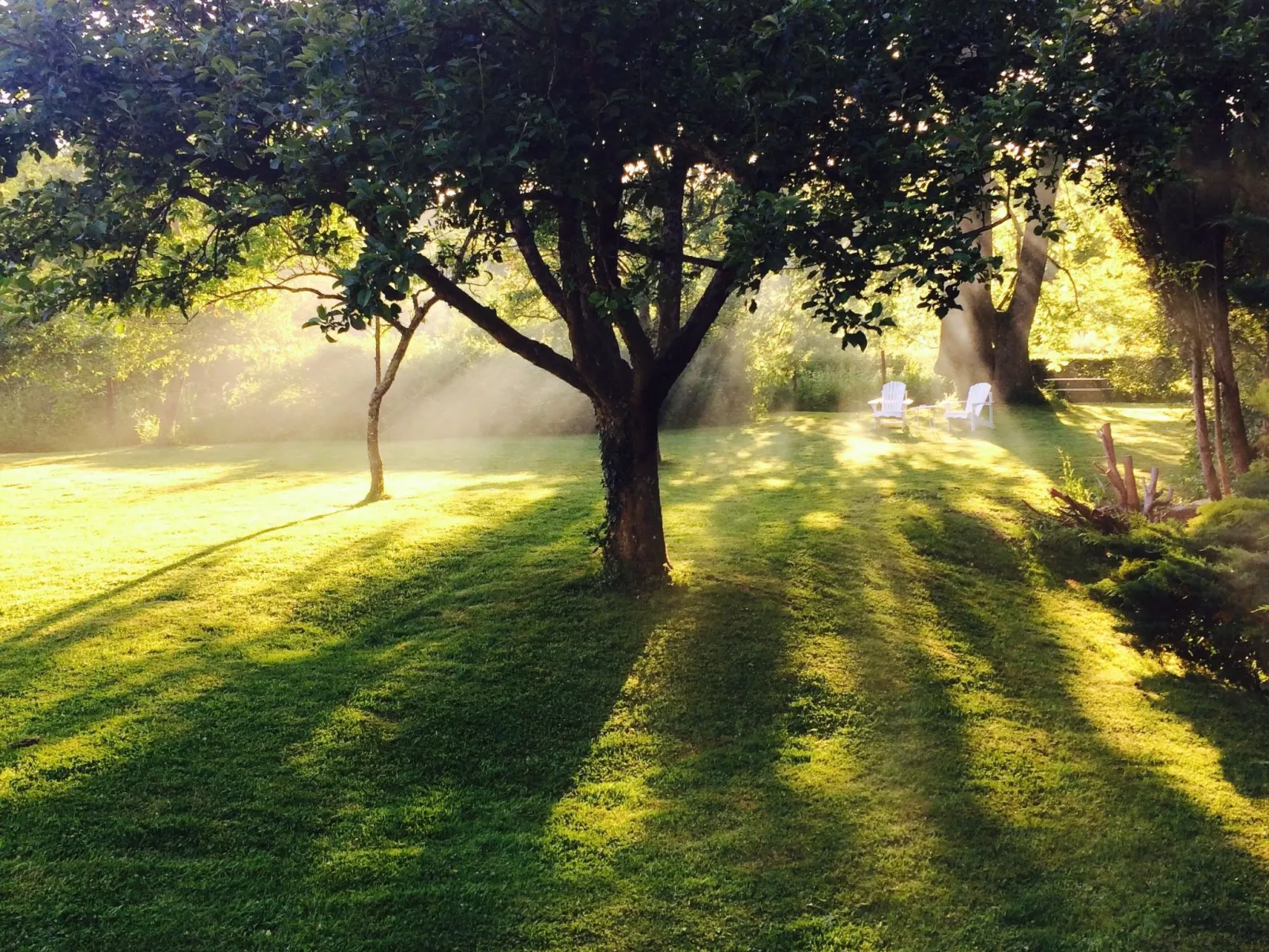 The Water Mill of Tourteron-Dehors