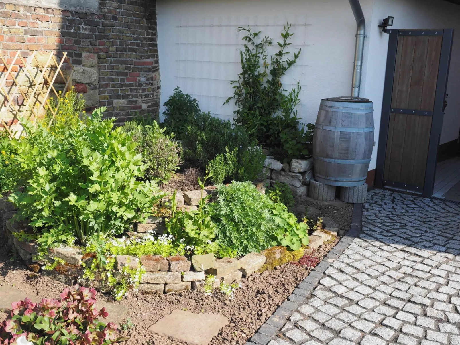Hochwertige Ferienwohnung mit Terrasse und Garten-Outside