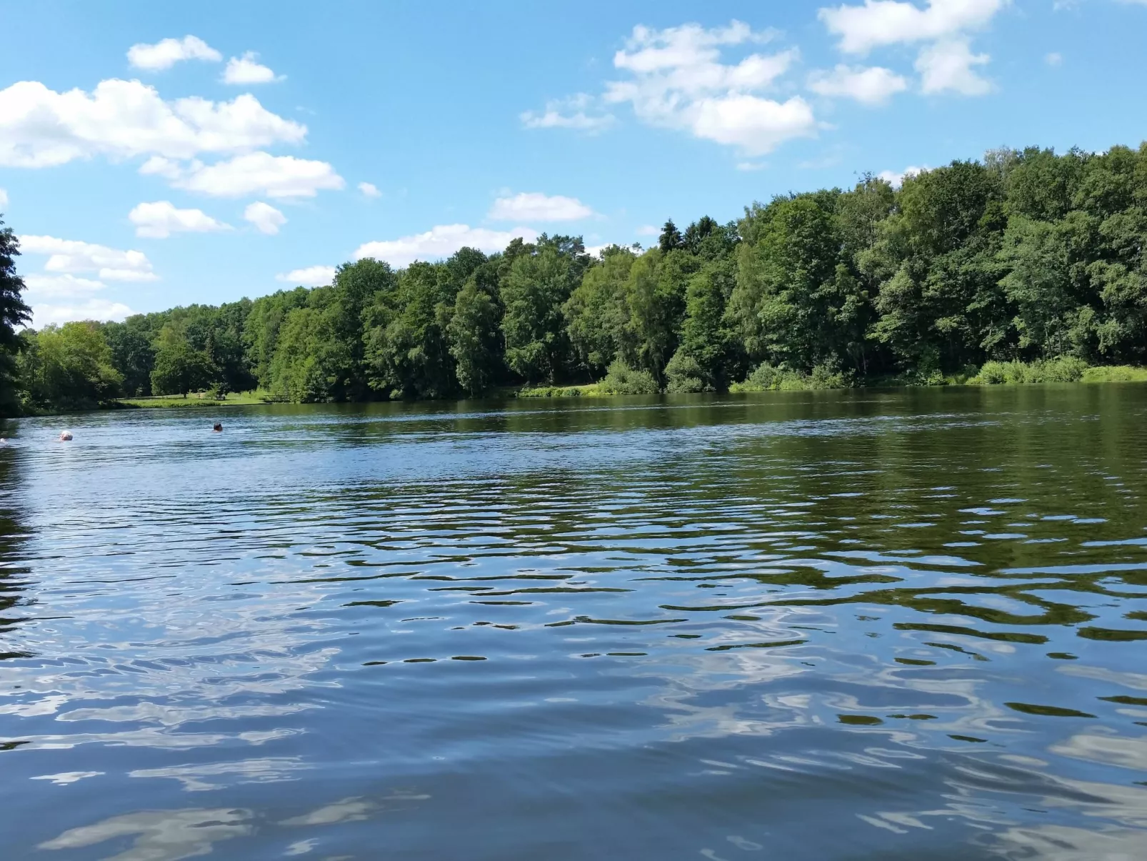 Heidebungalow-Draußen