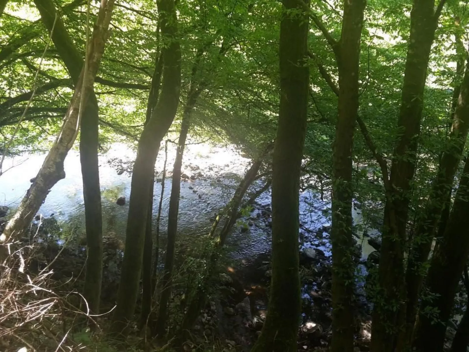 In Zendscheid mit Offenem Kamin-Dehors
