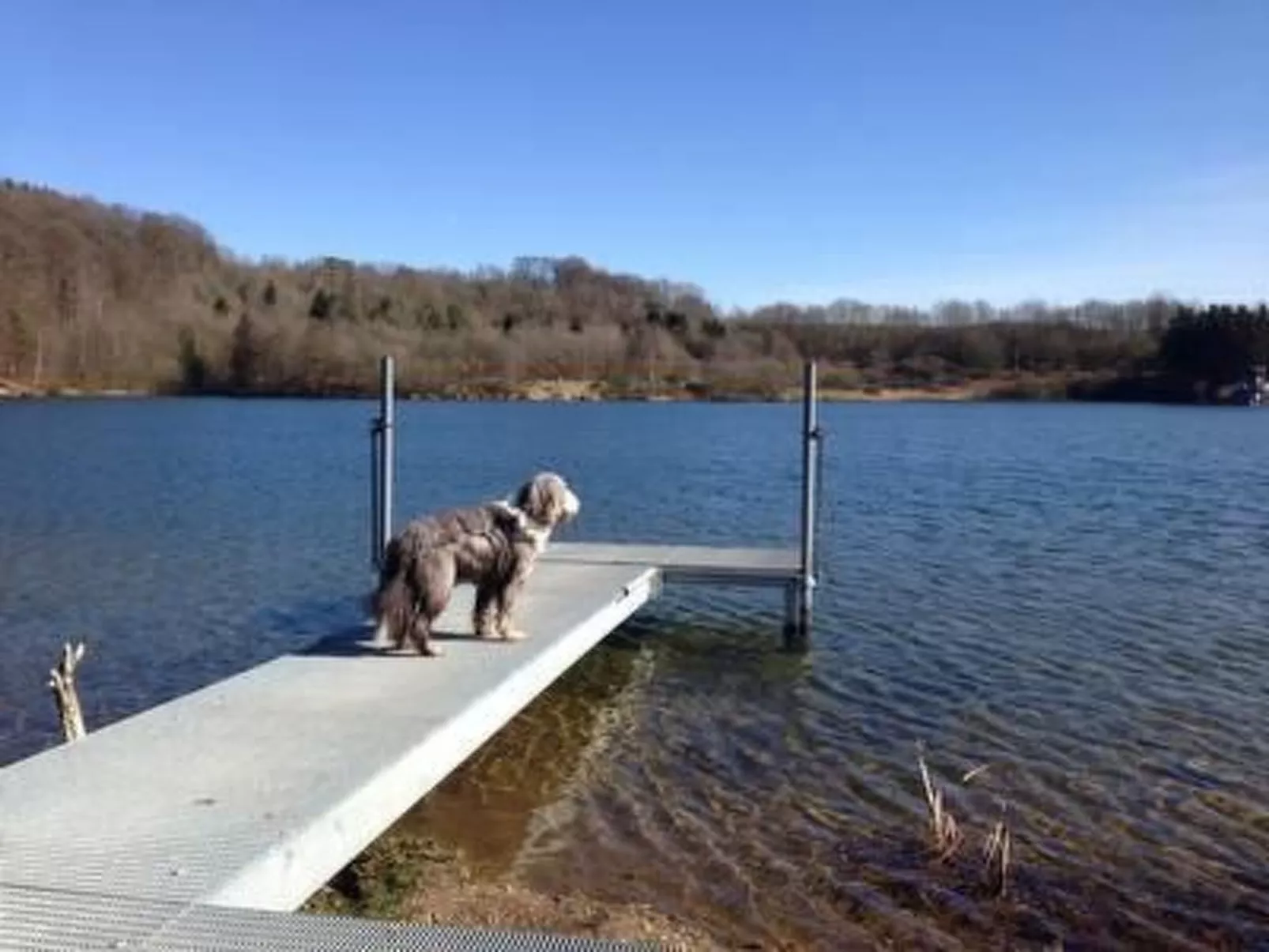 Eifelhäuschen-Dehors