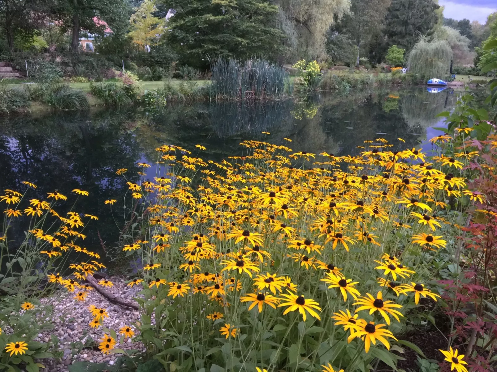 Ferienbungalow Anne-Draußen