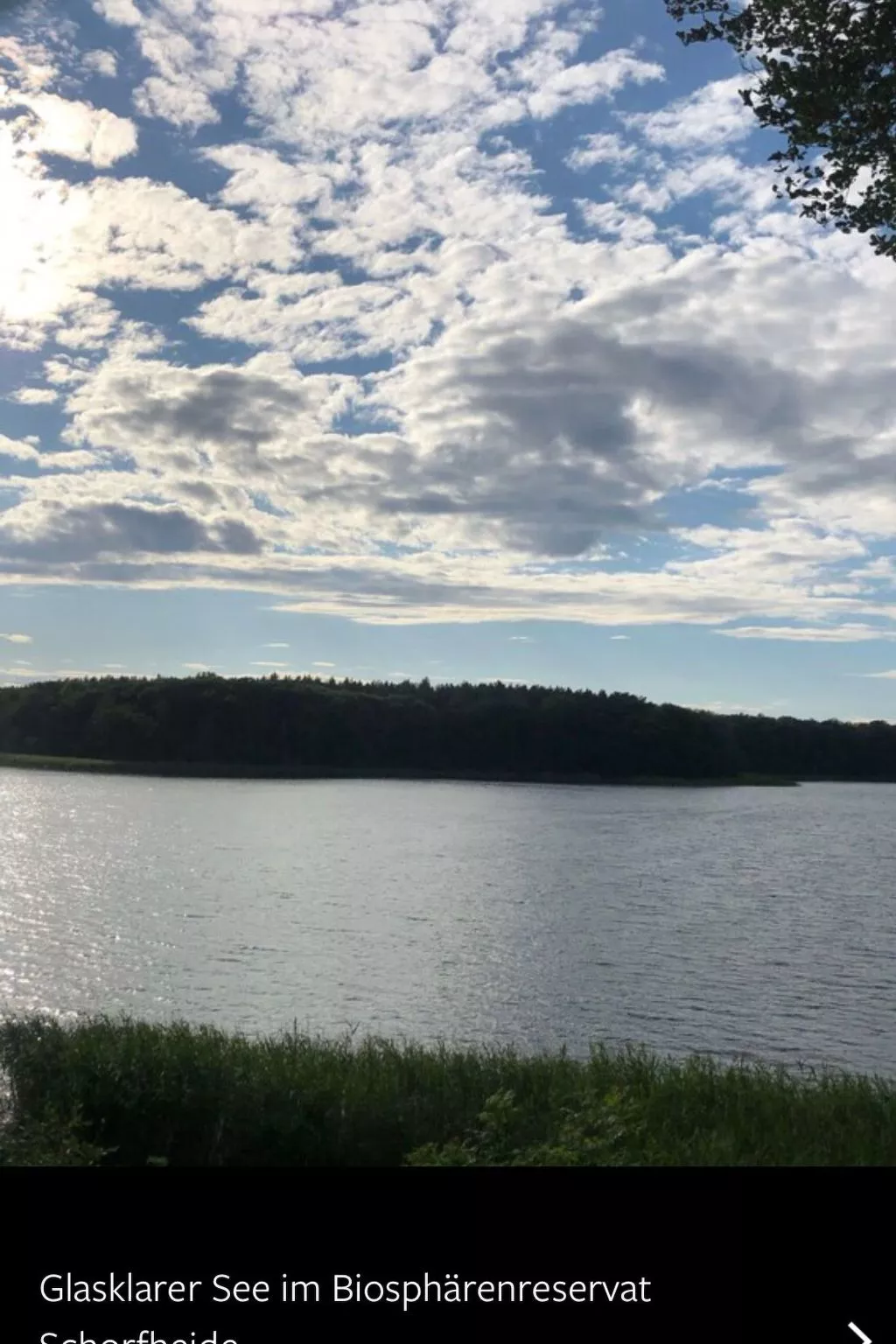 Reetdach Ferienhaus am Lübbesee Sauna Bootsteg neu-Outside