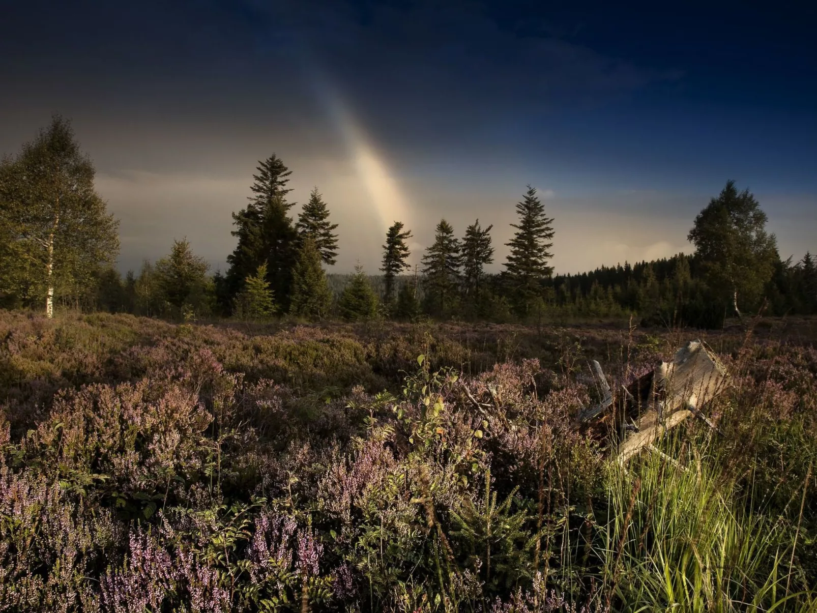 Landhaus Graf-Outside