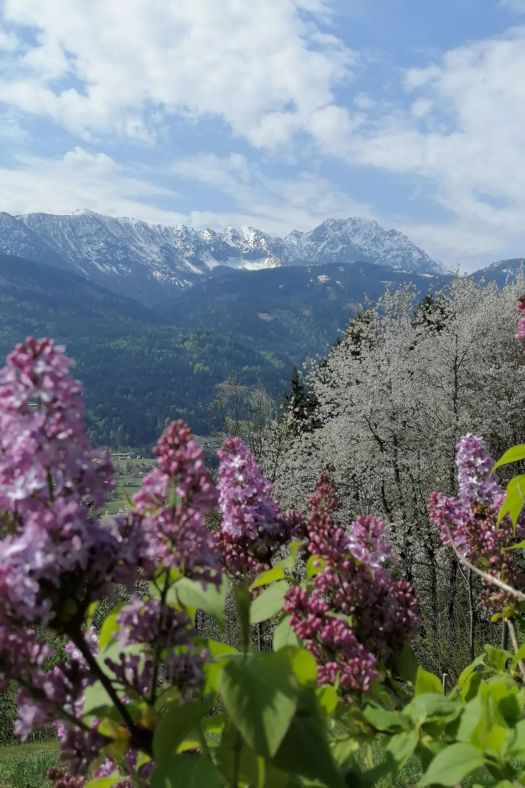 Waldpension Ranner-Draußen