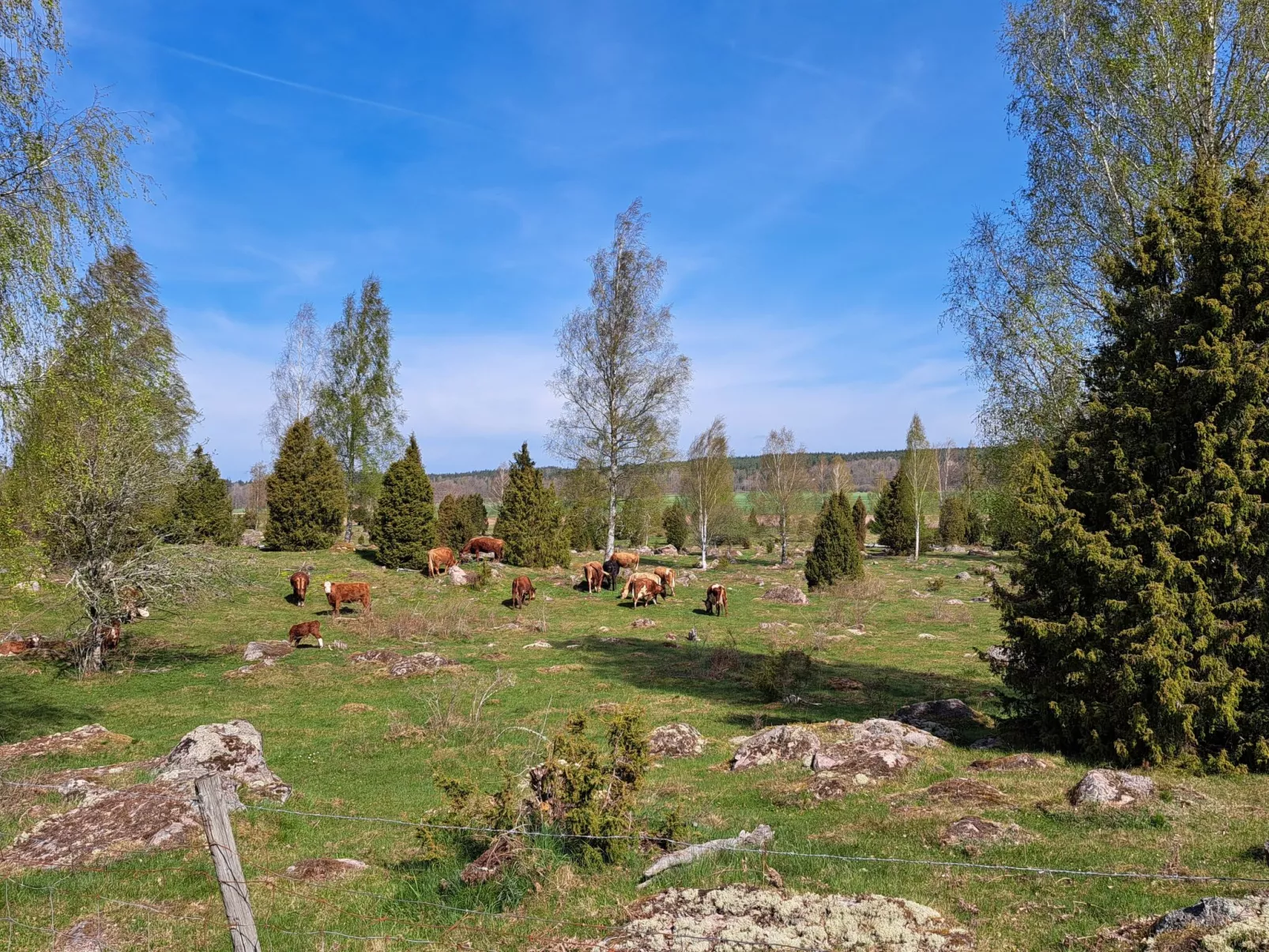 Im Herzen Smålands-Outside