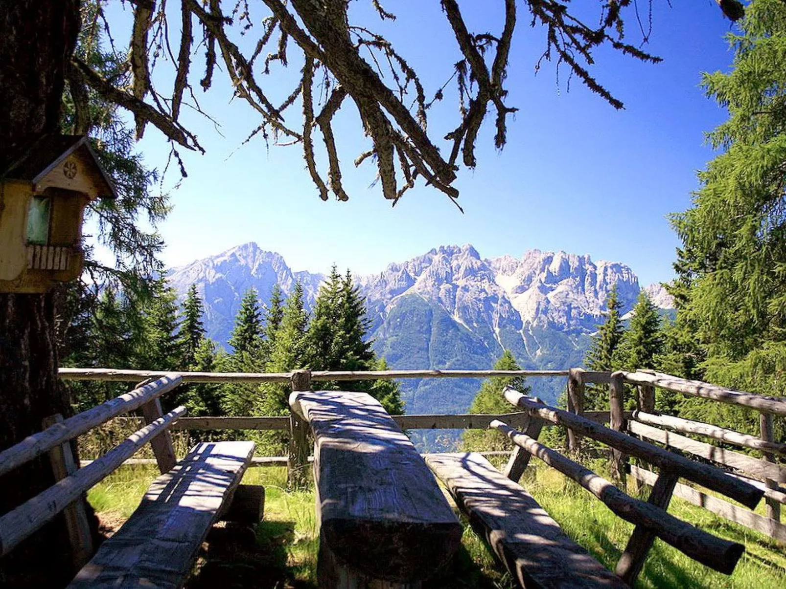 Sporer-Image-tags.info