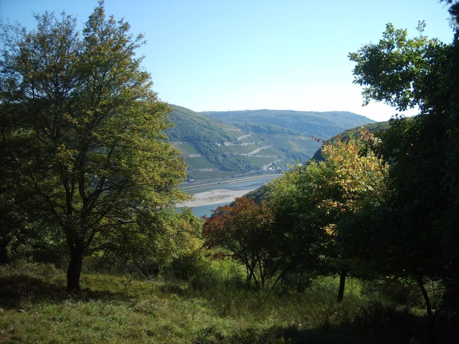 Mit Balkon und Rheinblick-Image-tags.info