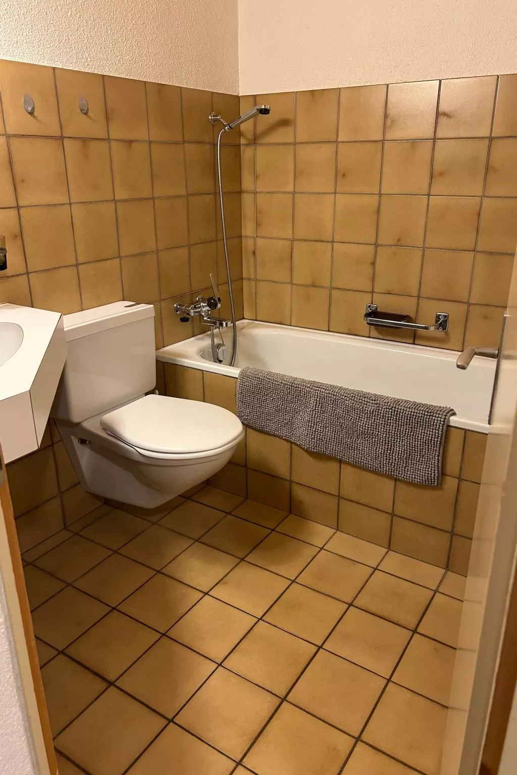 Wohnung Hirschi-Inside