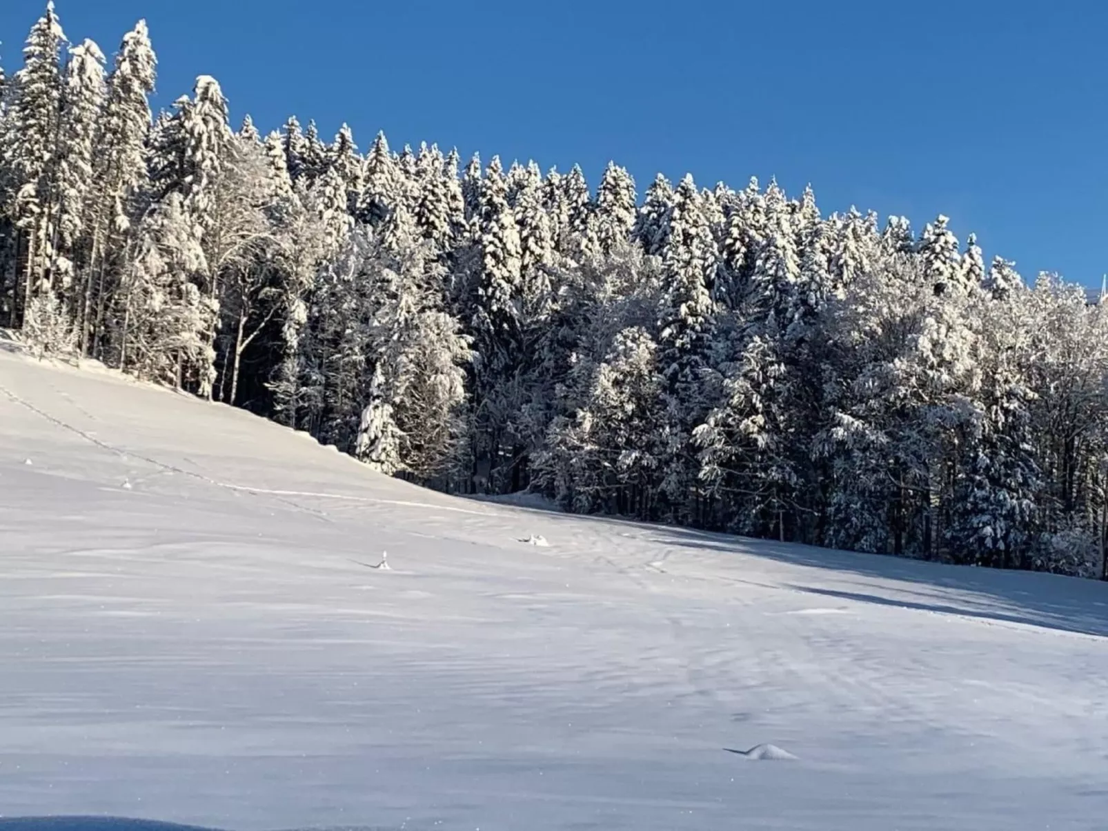 Nirkwerk-Image-tags.info