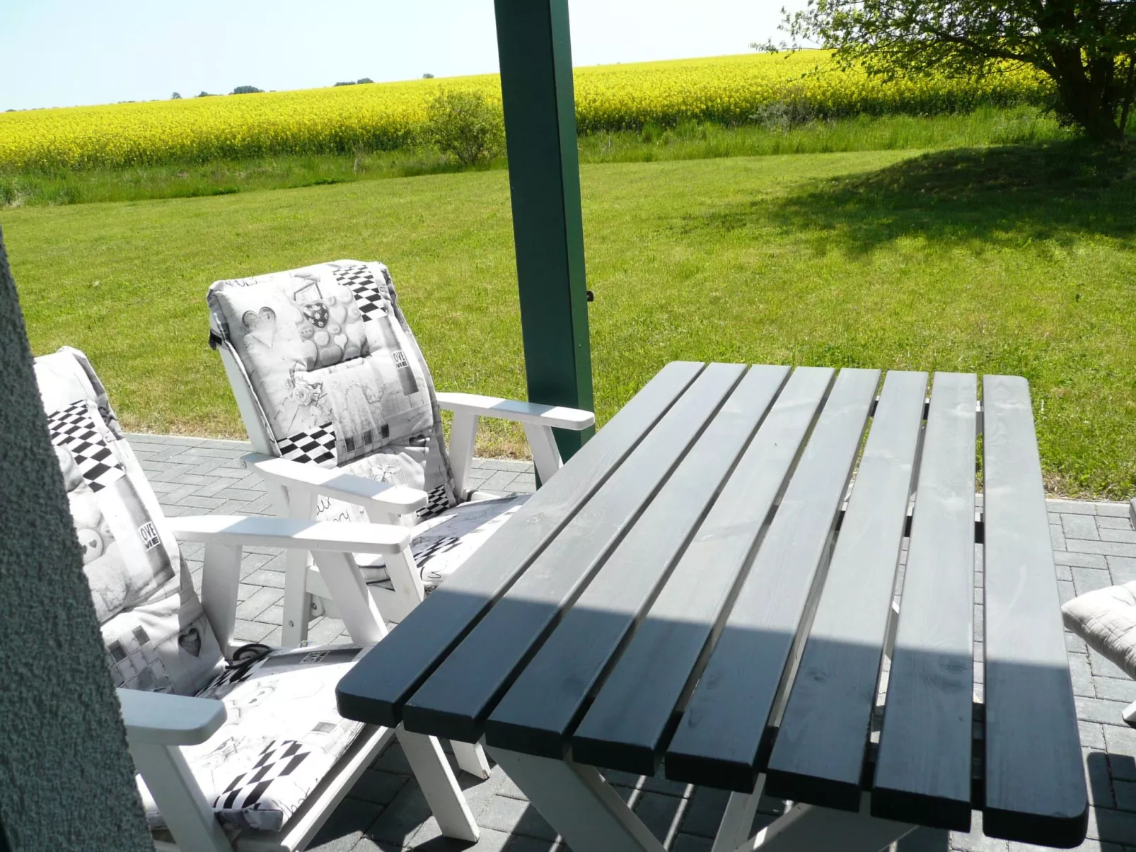 Seeschwalbe-Draußen