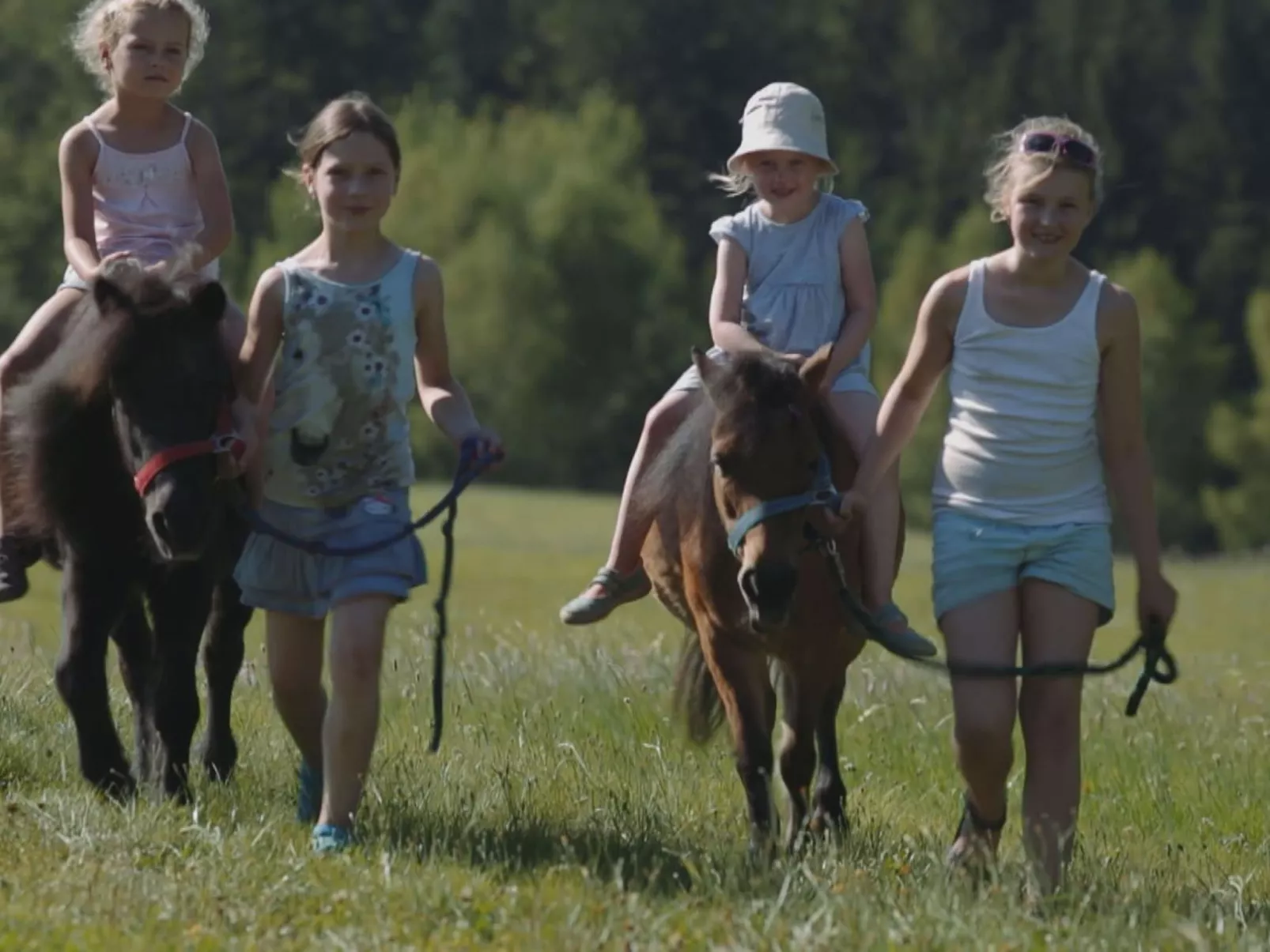 Uriges Blockhaus für 5 Personen-Draußen