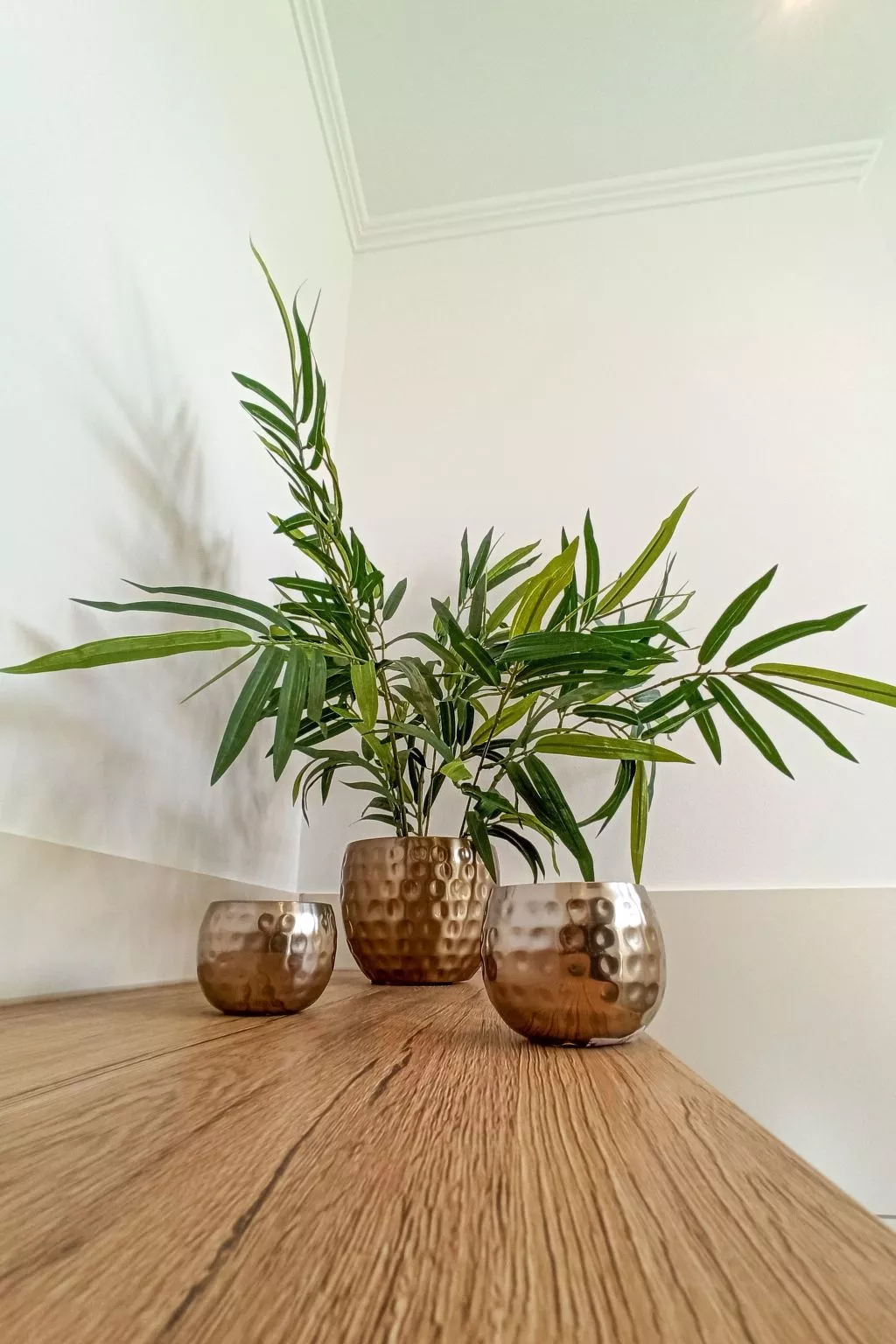 Haus Starkenburg-Dedans