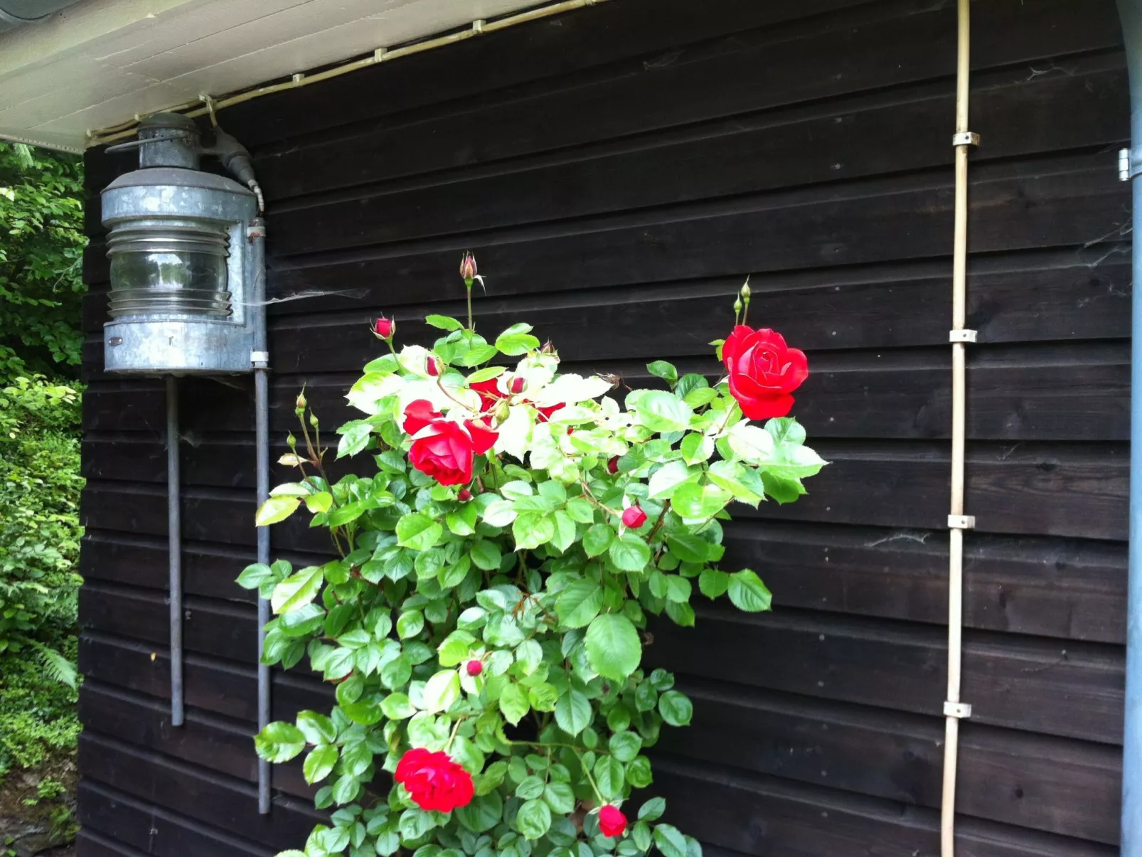 Ederseeblick in Bringhausen am Edersee-Draußen