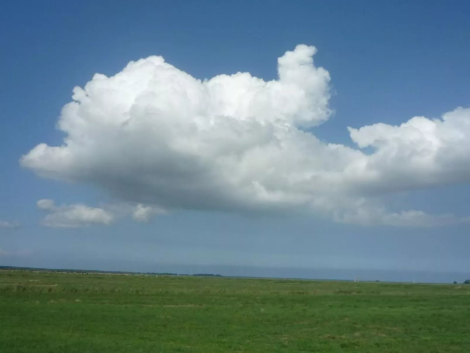 Antonia-Image-tags.info