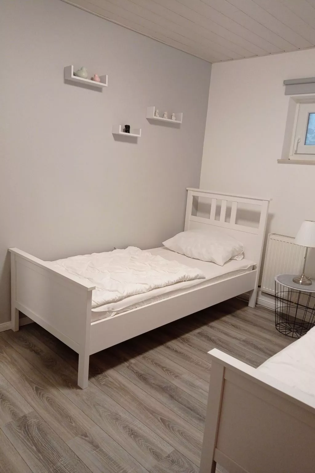 Apartment mit Hund-Drinnen