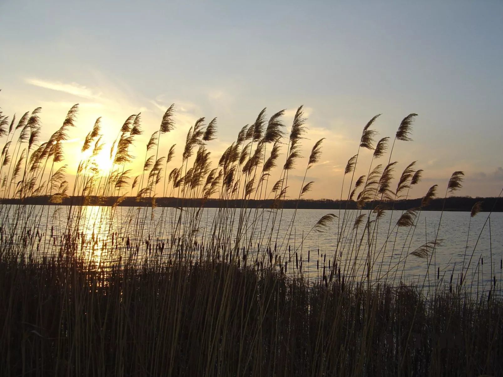 Helle Ferienwohnung für drei Personen-Draußen