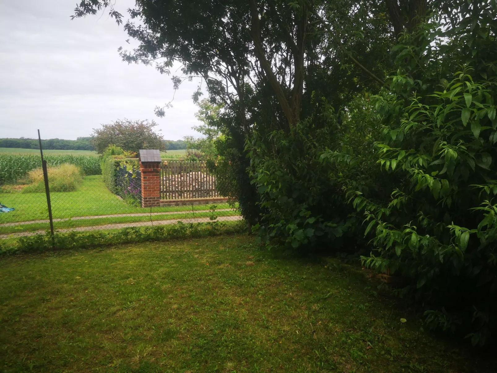 Landurlaub Mecklenburgische Seenplatte b. Waren Müritz-Outside