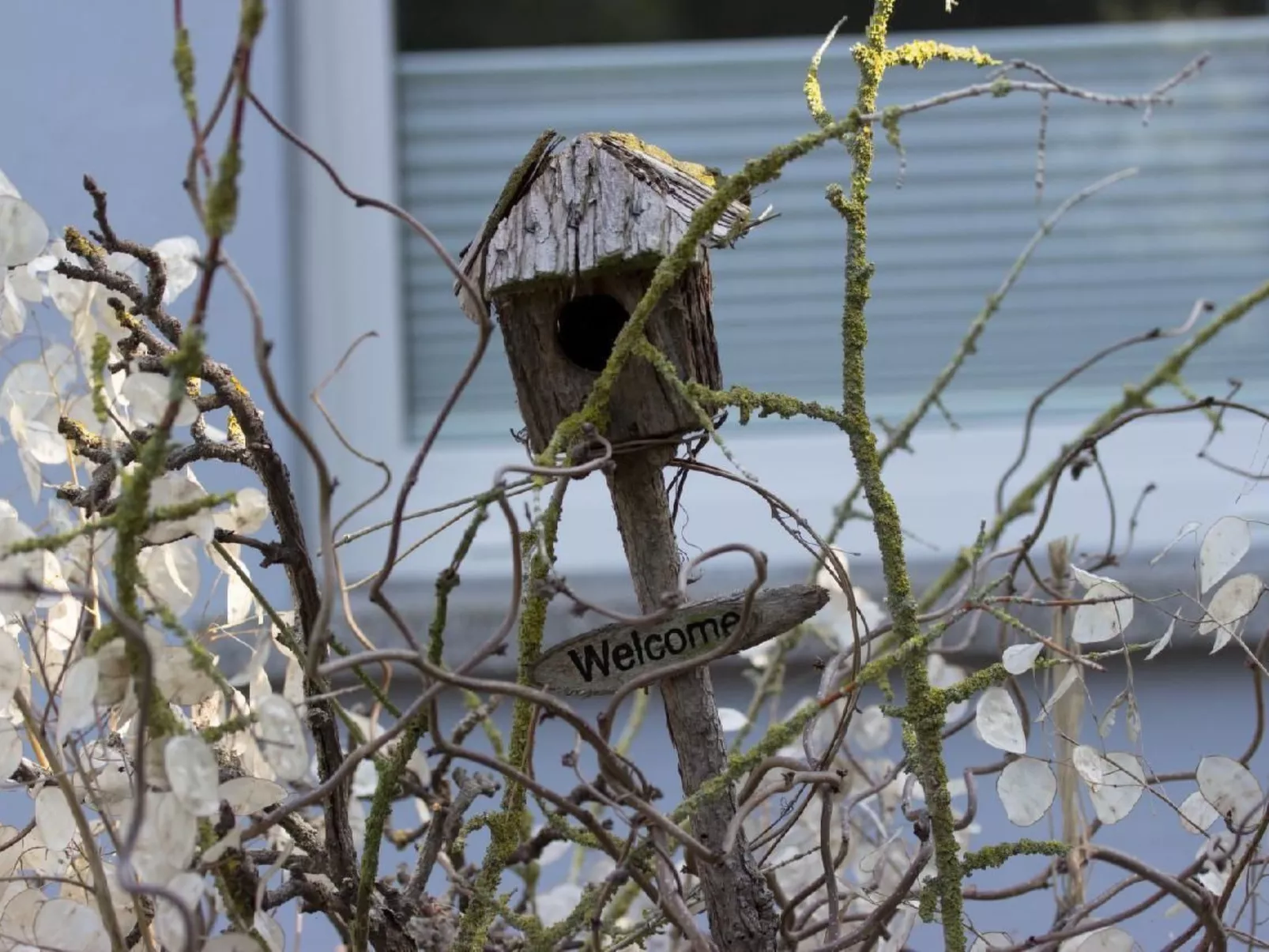 Monski Neustadt-Glewe-Outside