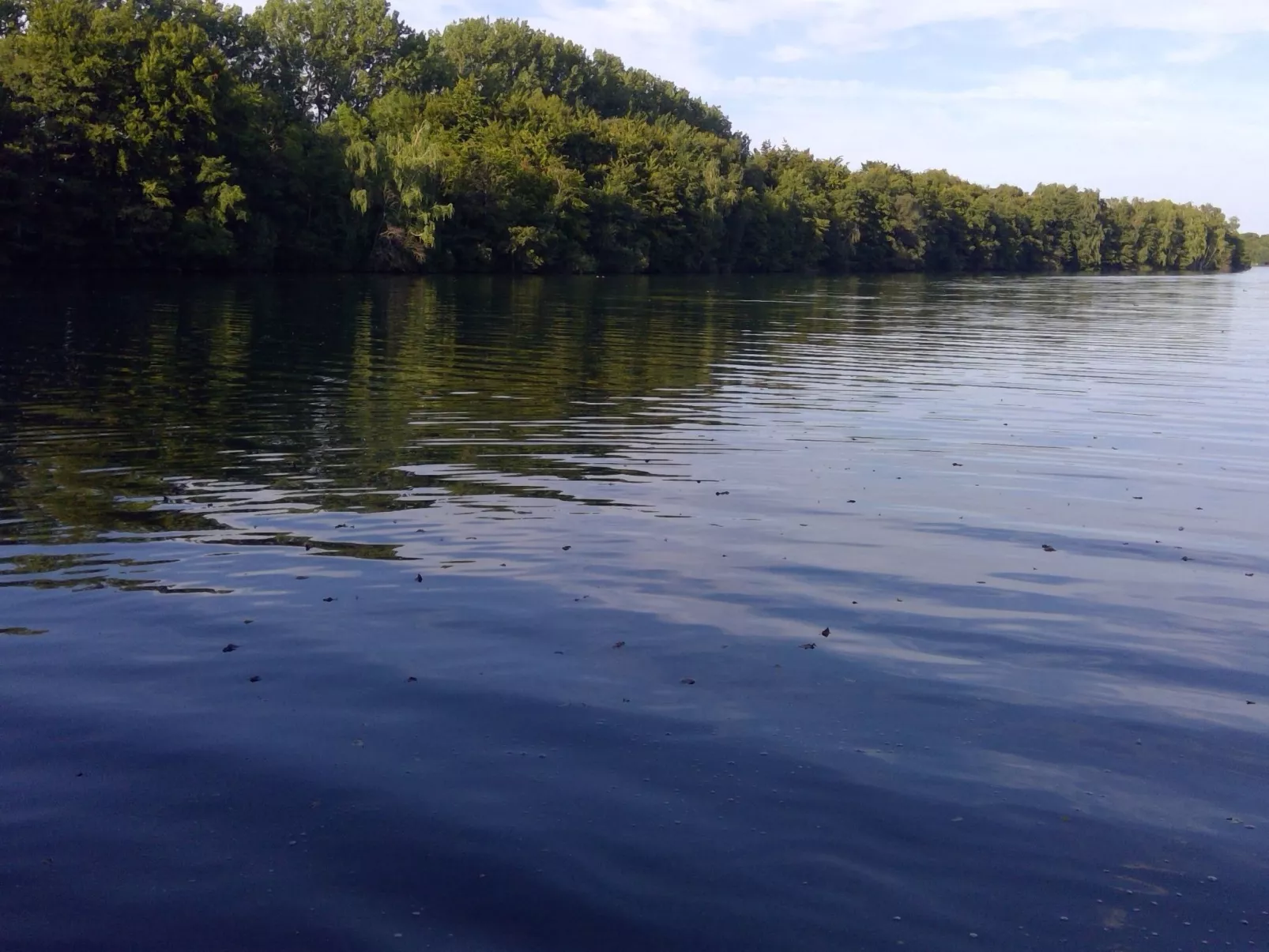 Haus Plum-Image-tags.info