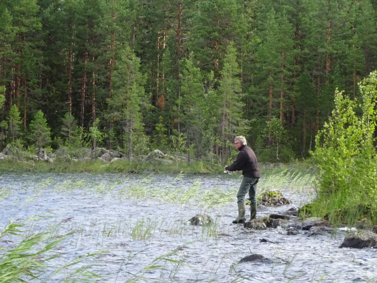 Solbacken Cottage-Draußen
