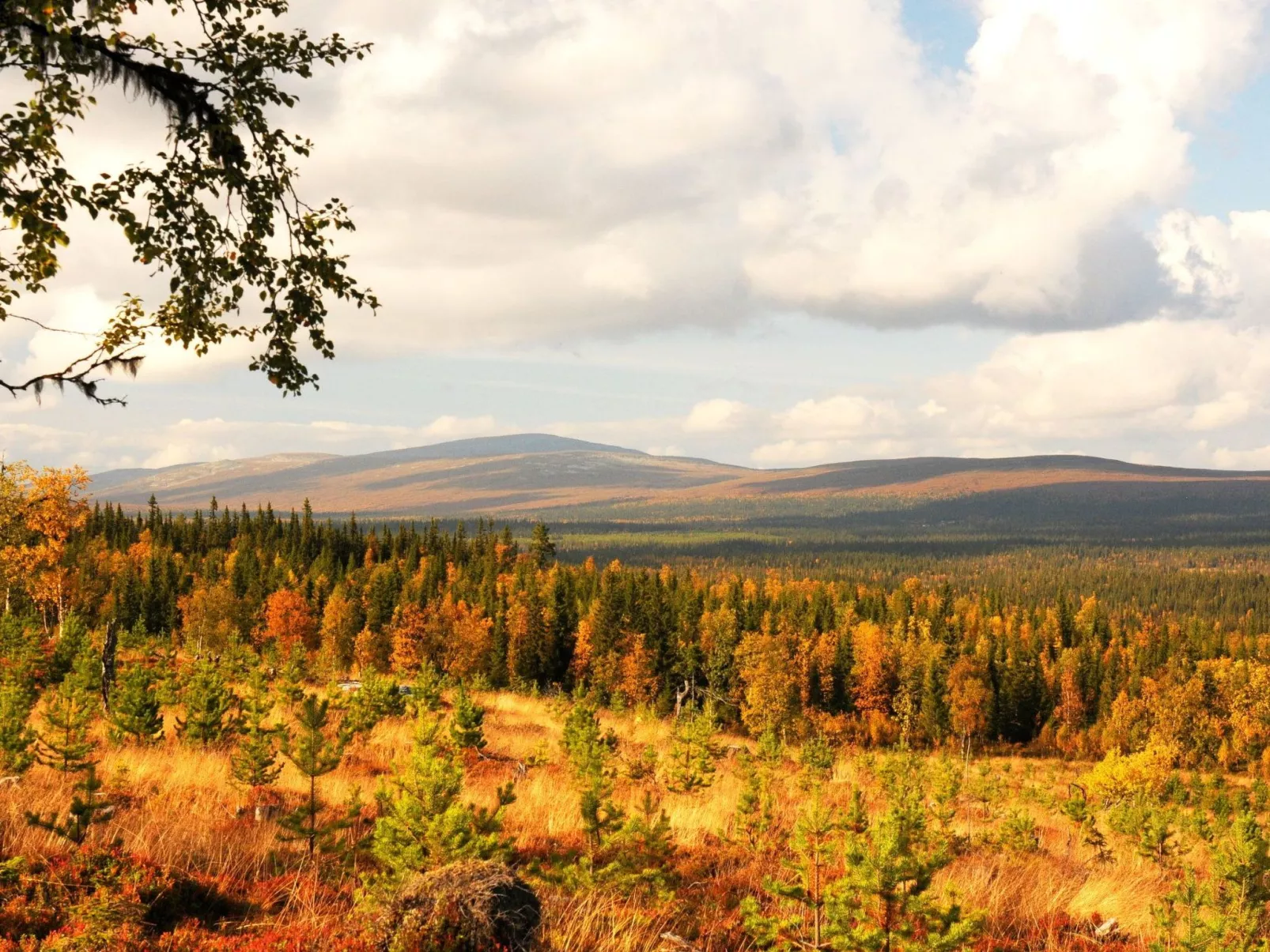 Gemütliches Blockhaus mit Kamin im Oviksfjäll-Draußen