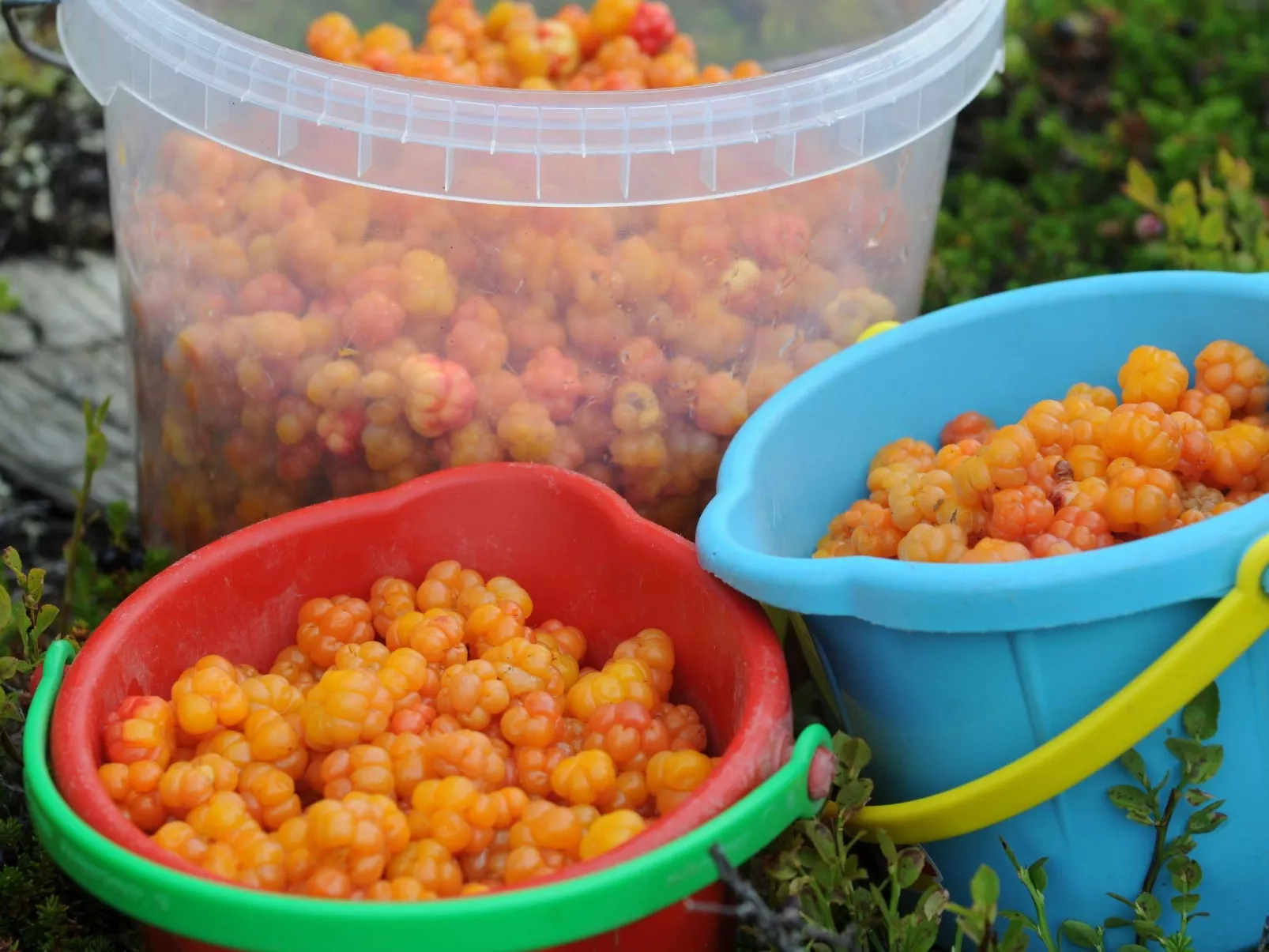 Charmantes modernes Blockhaus mit Kamin-Image-tags.info