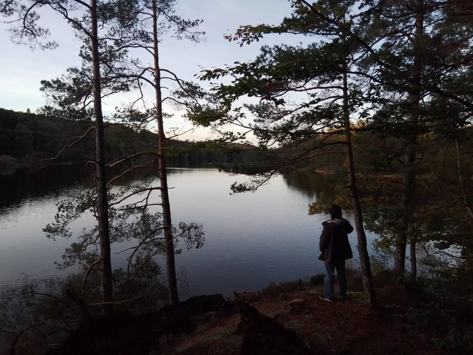 Sommarsol-Image-tags.info