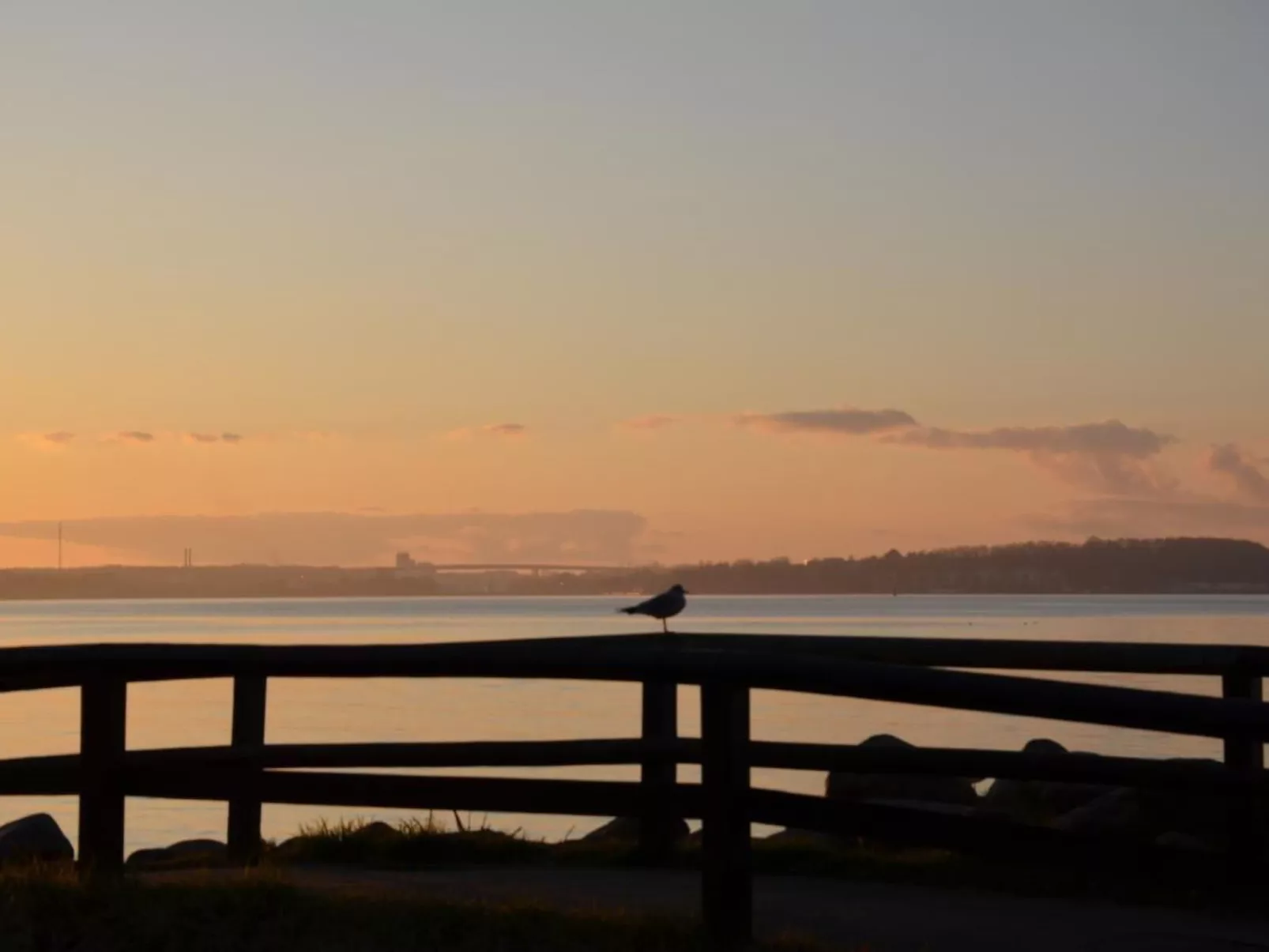 In Krokau-Image-tags.info