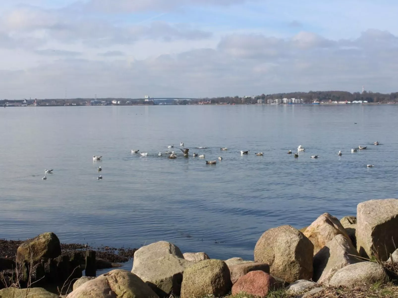 Appartement mit Garten, Grill und Terrasse-Image-tags.info