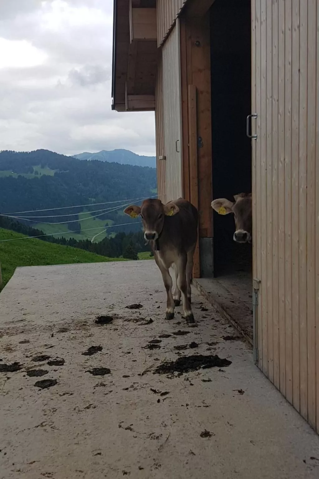 Ferien im Gugger - Wohnung Stockberg-Outside