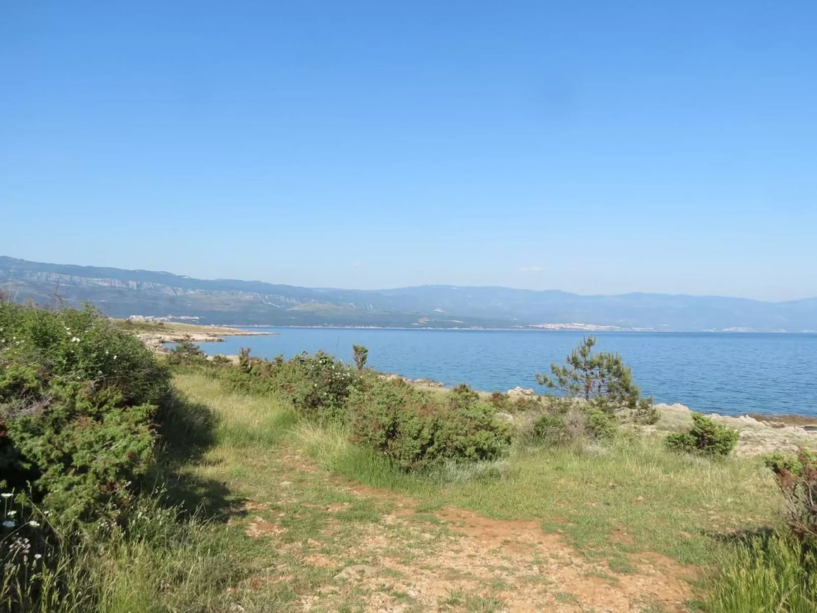 Mit Wasserblick-Image-tags.info