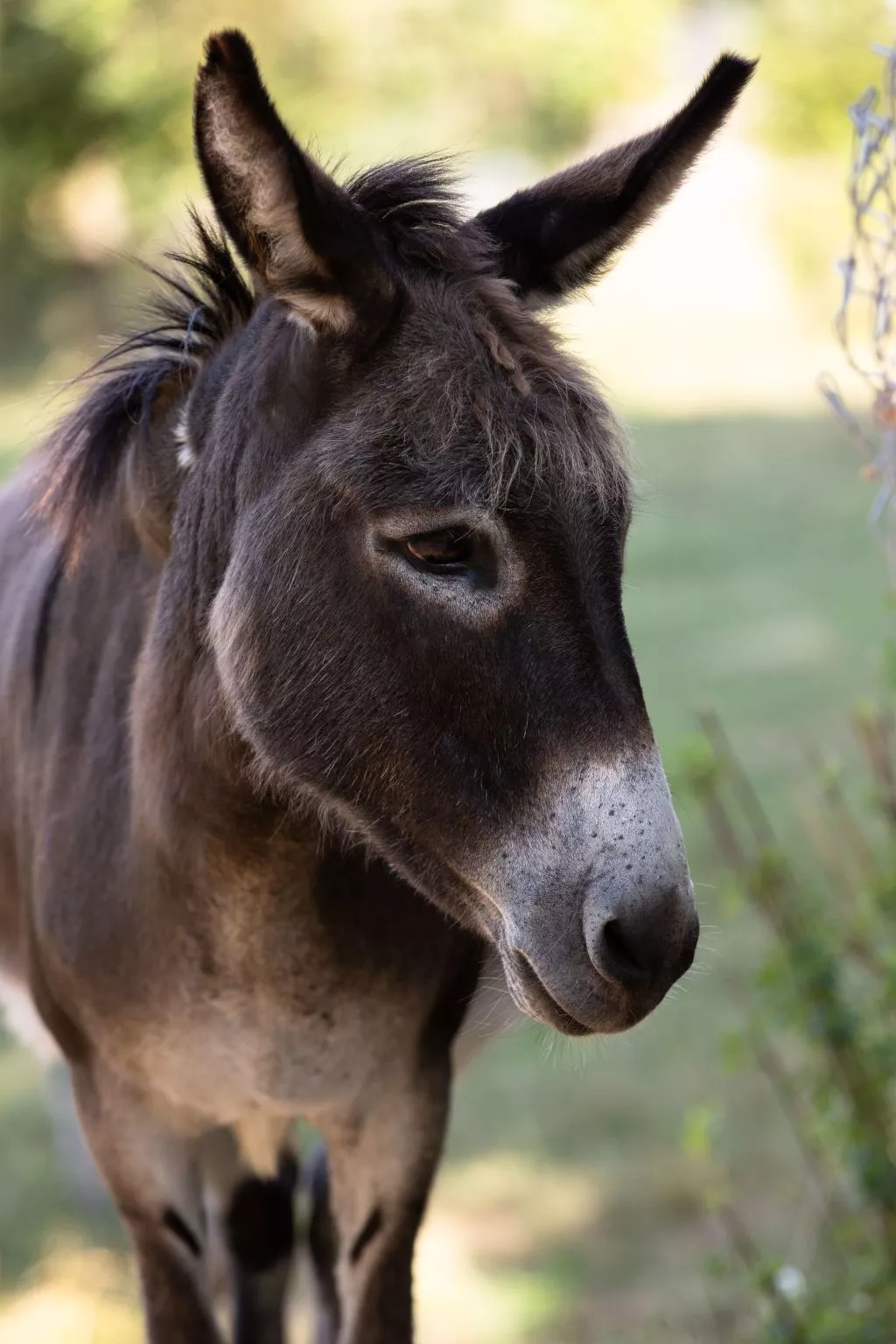 Appartement LouisXVI-Draußen