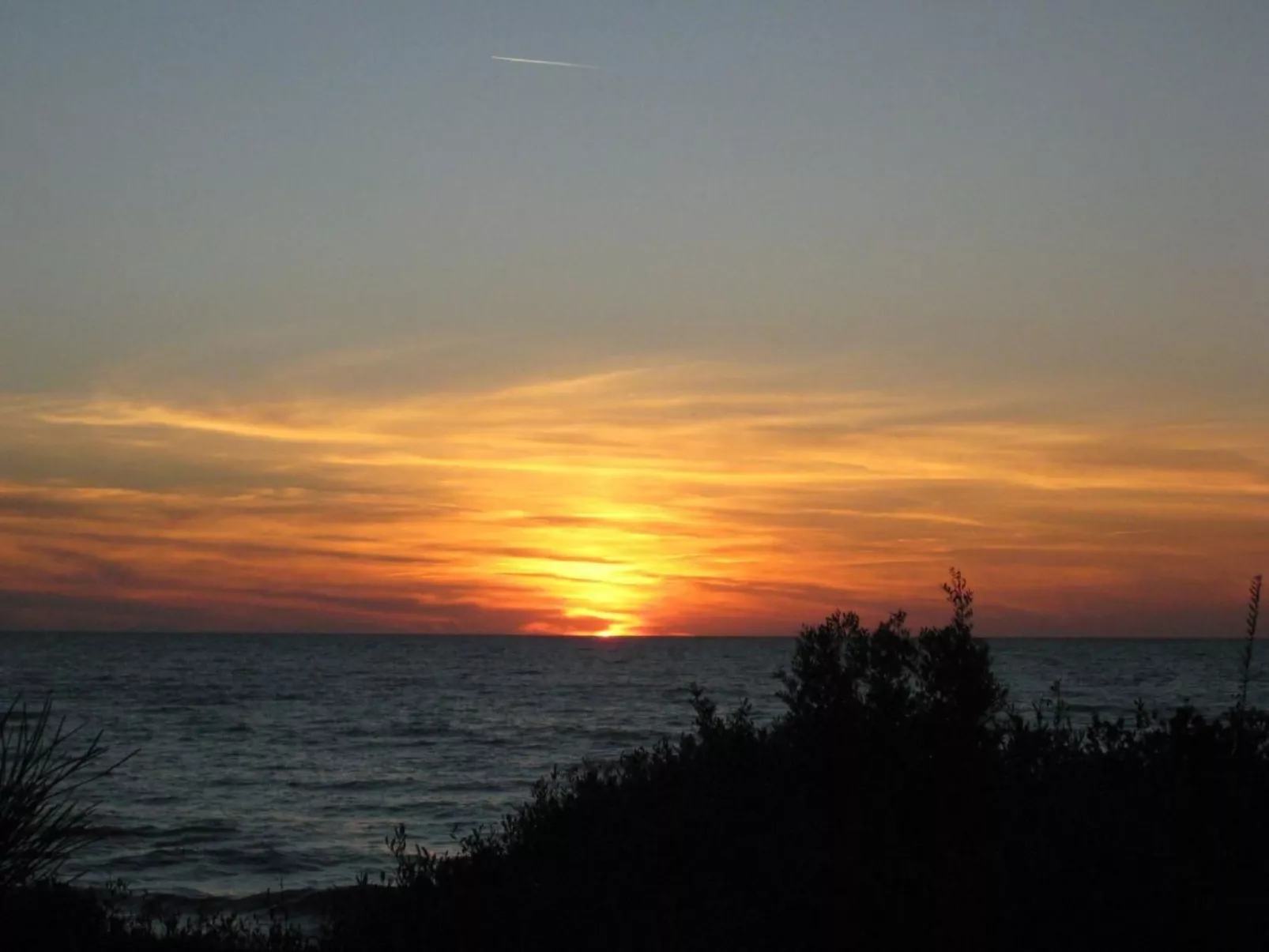 Villa Giacaranda-Image-tags.info