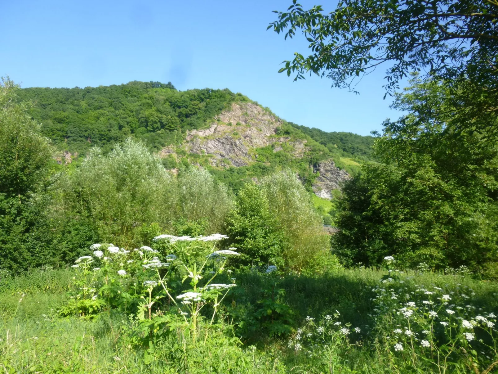 Moselschiefer-Traumferienwohnung am Moselufer-Outside
