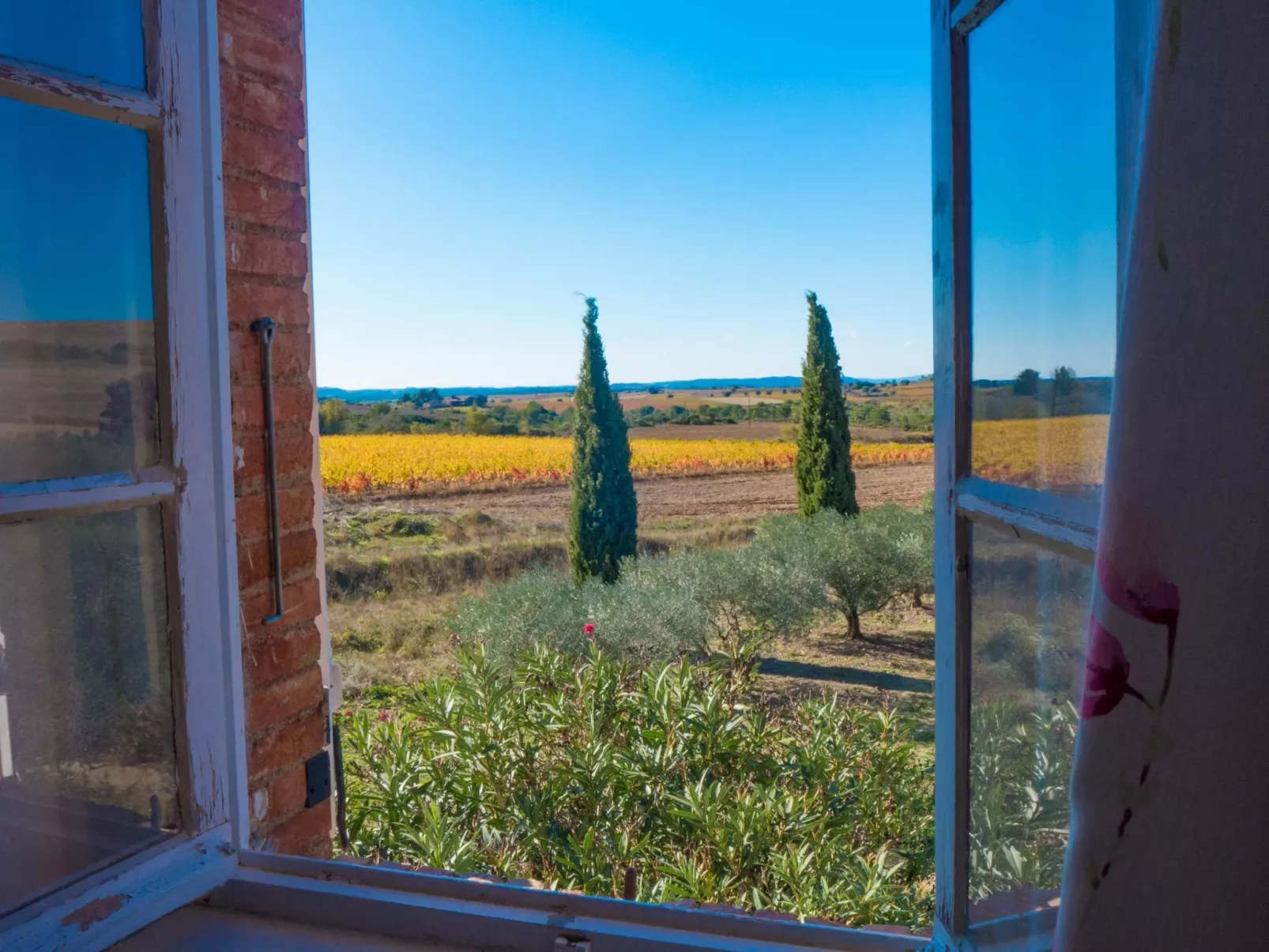 Mit Terrasse-Draußen