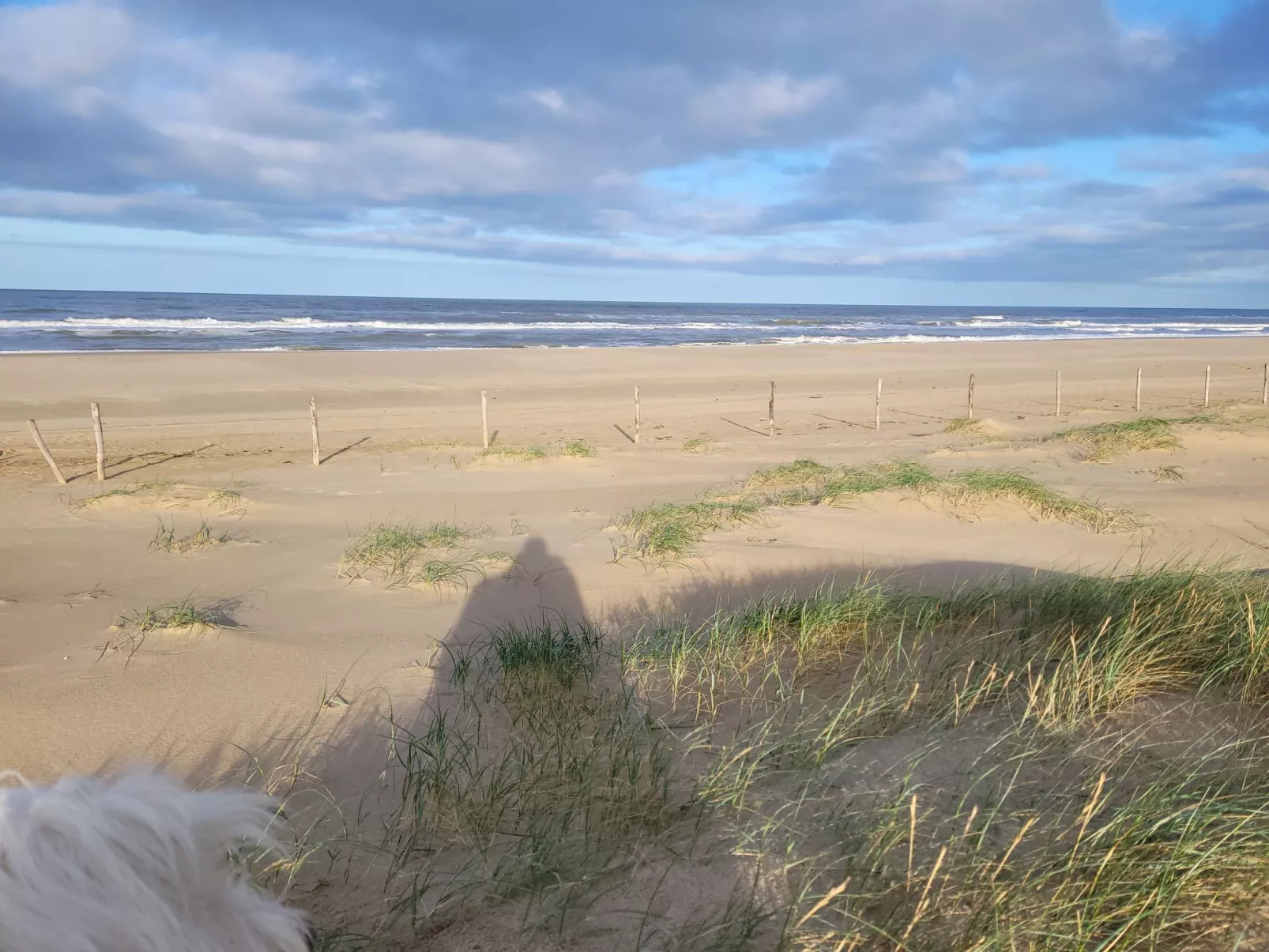 Knusperhaus-Draußen