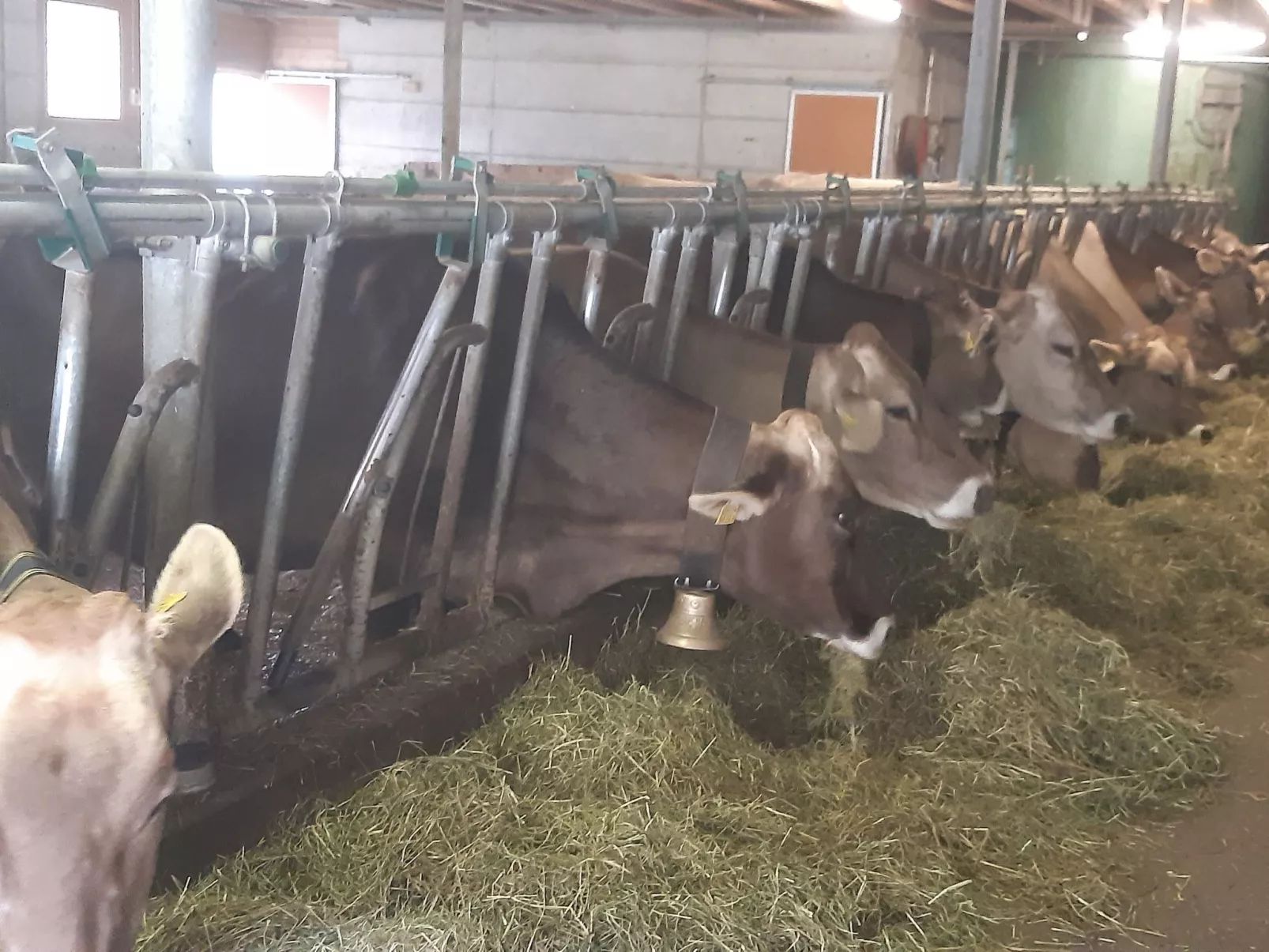 Rothornblick-Image-tags.info