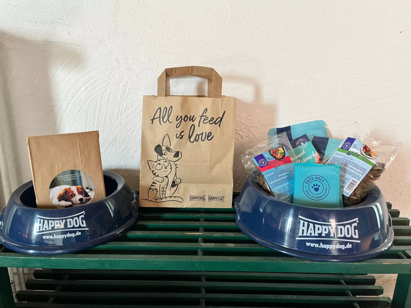 Möwe in Ummanz-Lüßvitz-Dehors