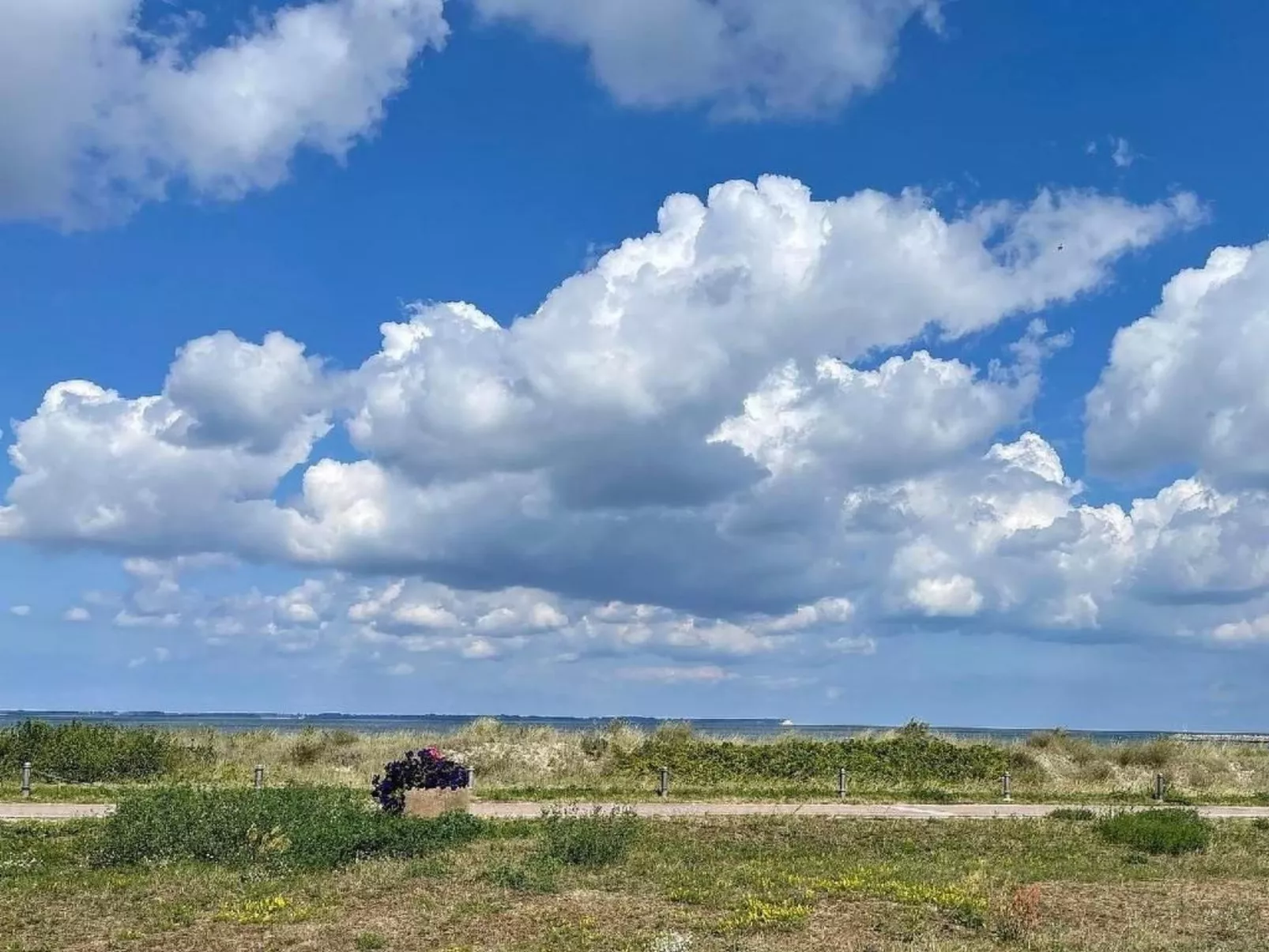 Apartement Villa Am Meer in Glowe mit Terasse EG-Outside