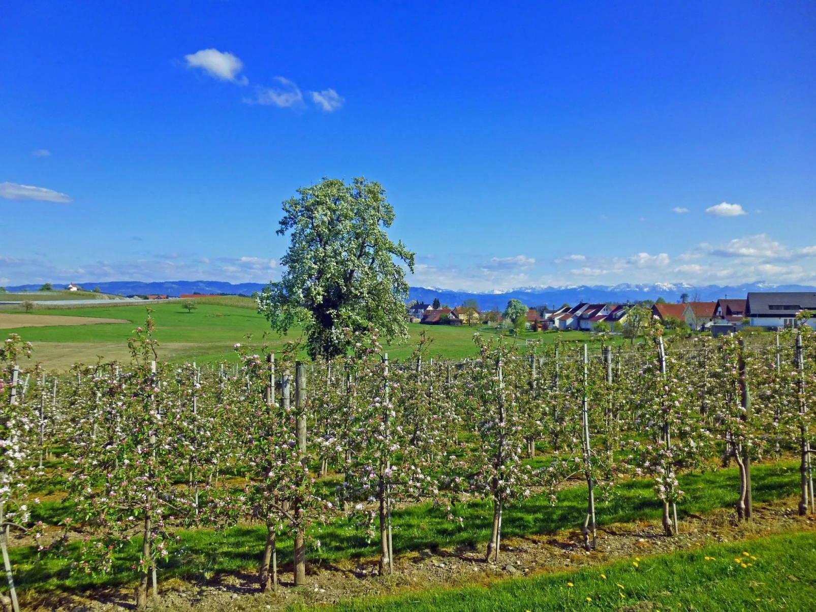 Ferien-Apartment-Image-tags.info