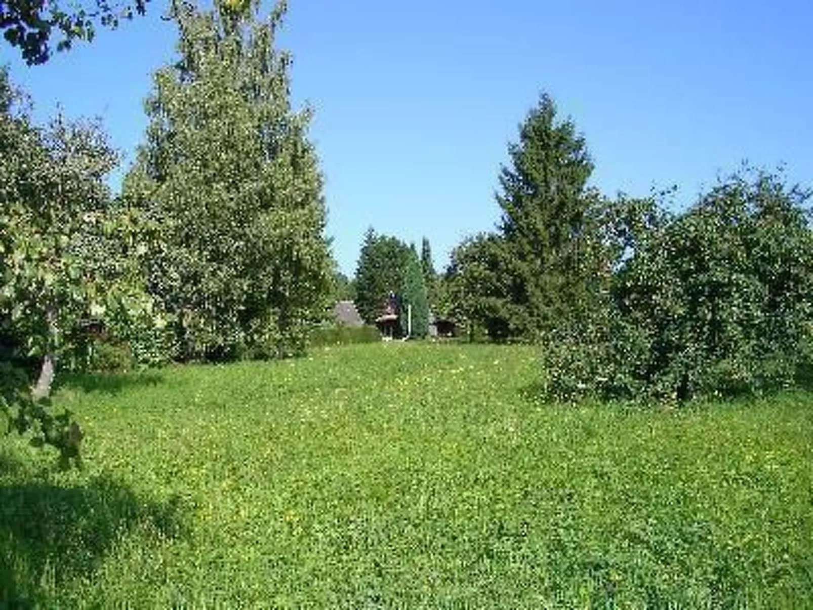 Nur-Dach-Ferienhaus für vier Personen - Draußen