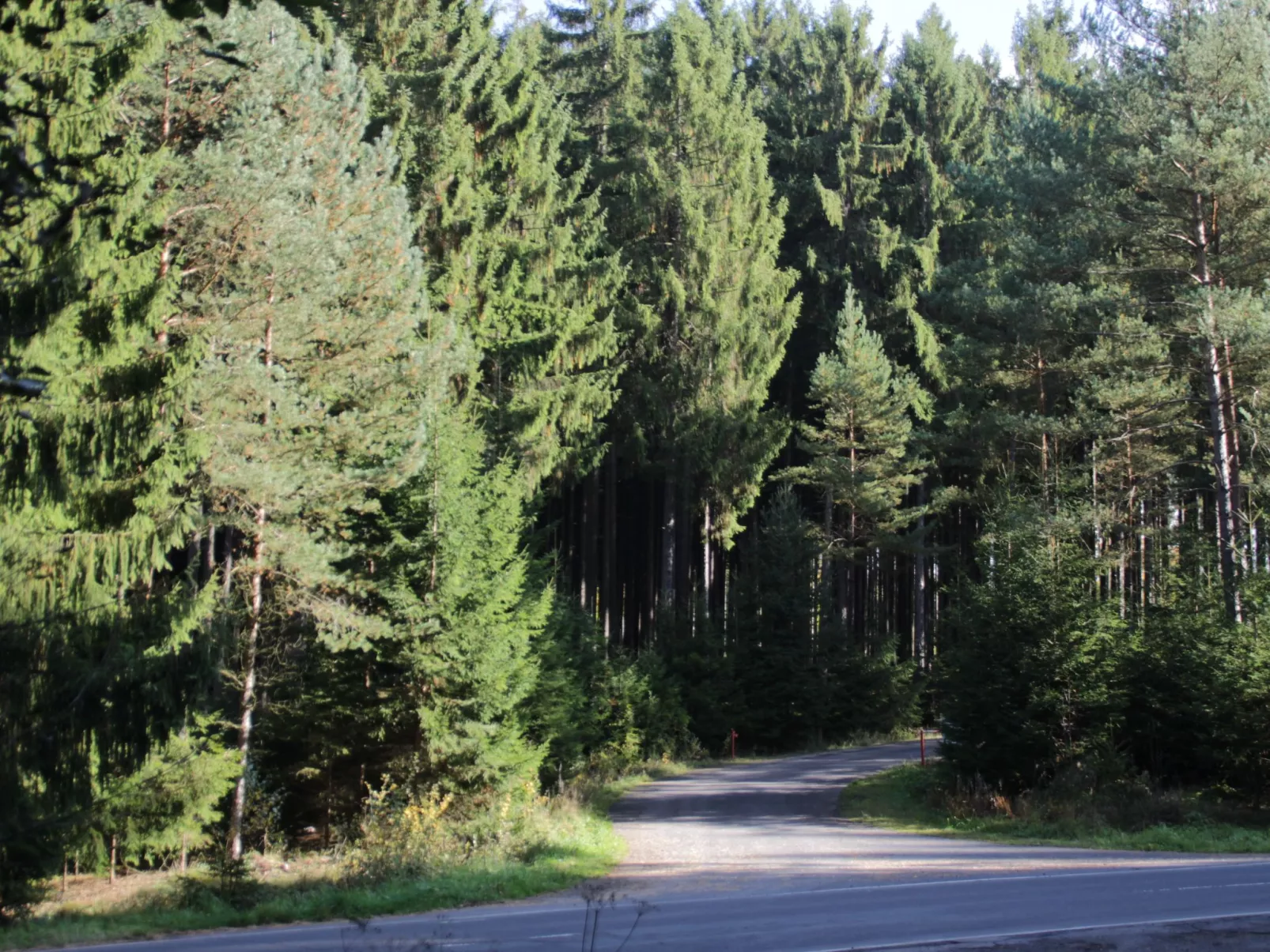 Cat'n'Boots Haus-Draußen