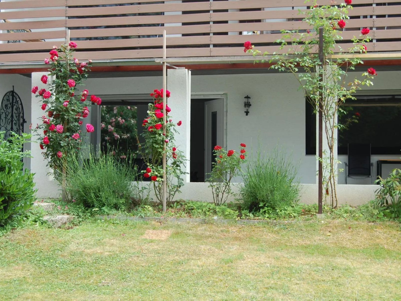 Rose Terrace-Image-tags.info