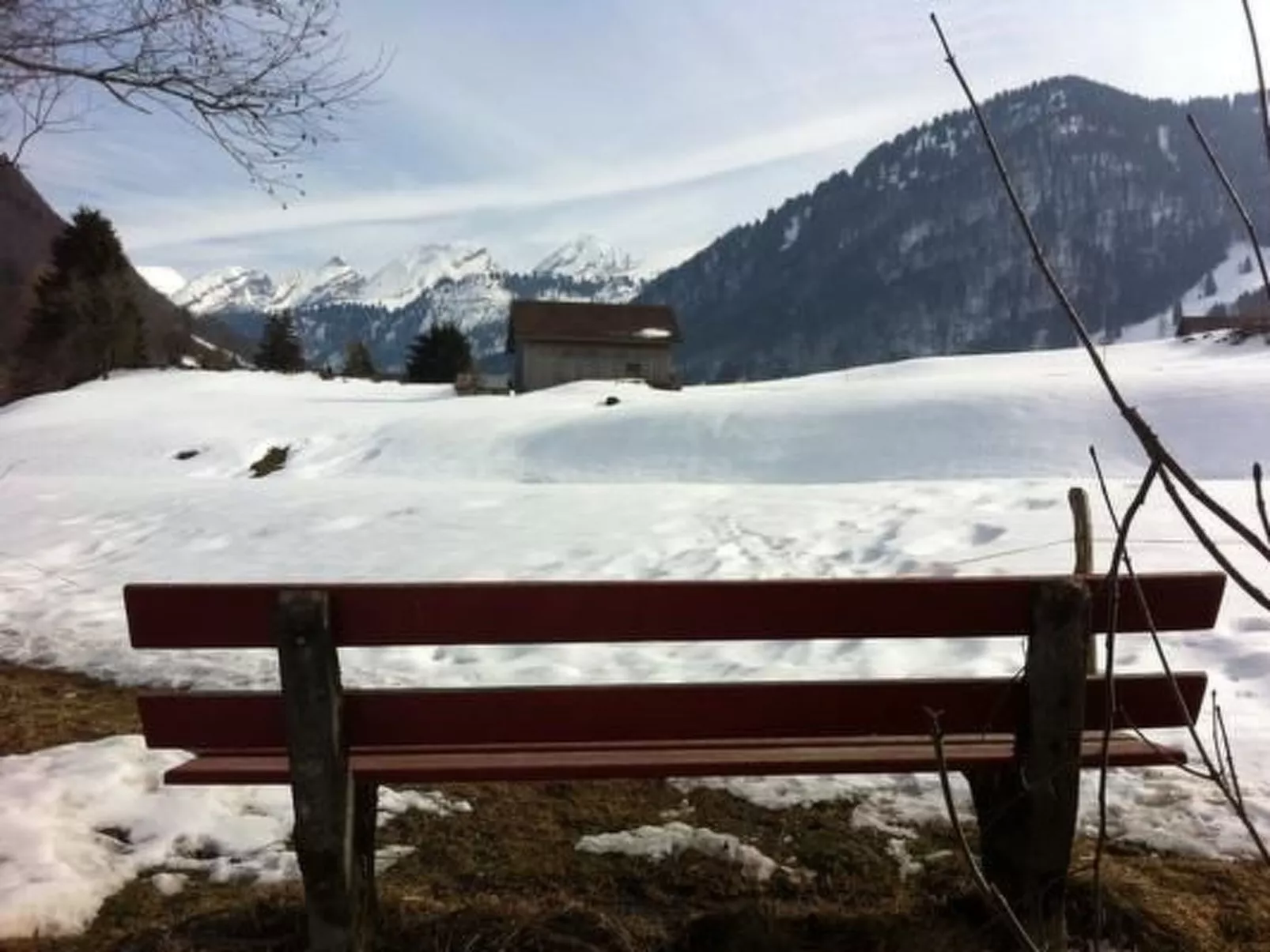 Wisli-Image-tags.info