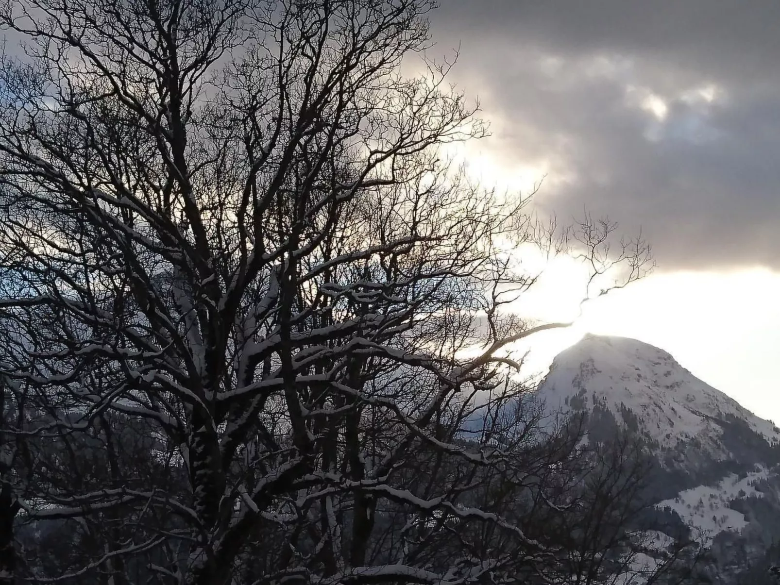 Obererli-Image-tags.info