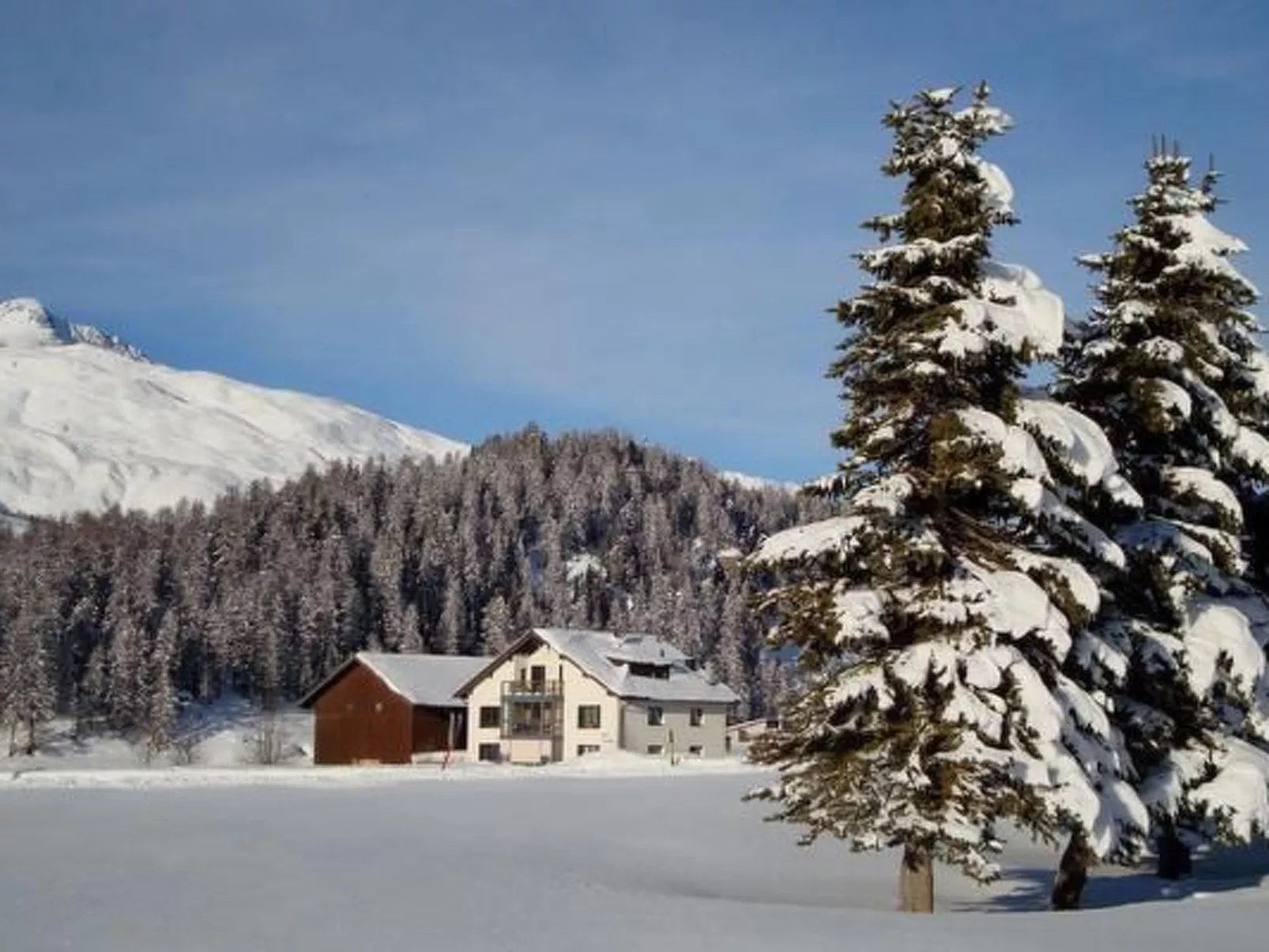 Chesa Palüds-Dehors