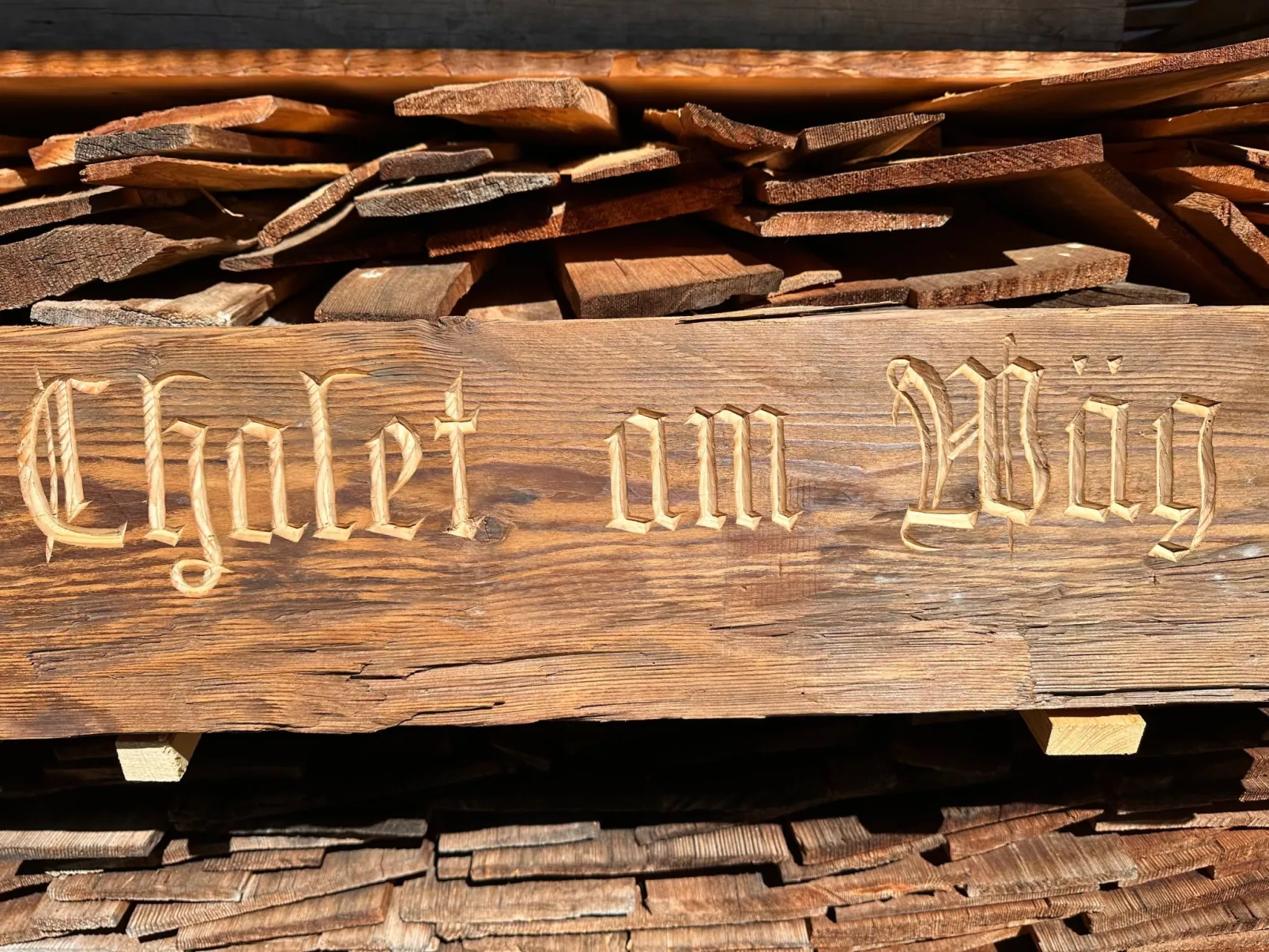 Wohnung Niesenblick-Dehors