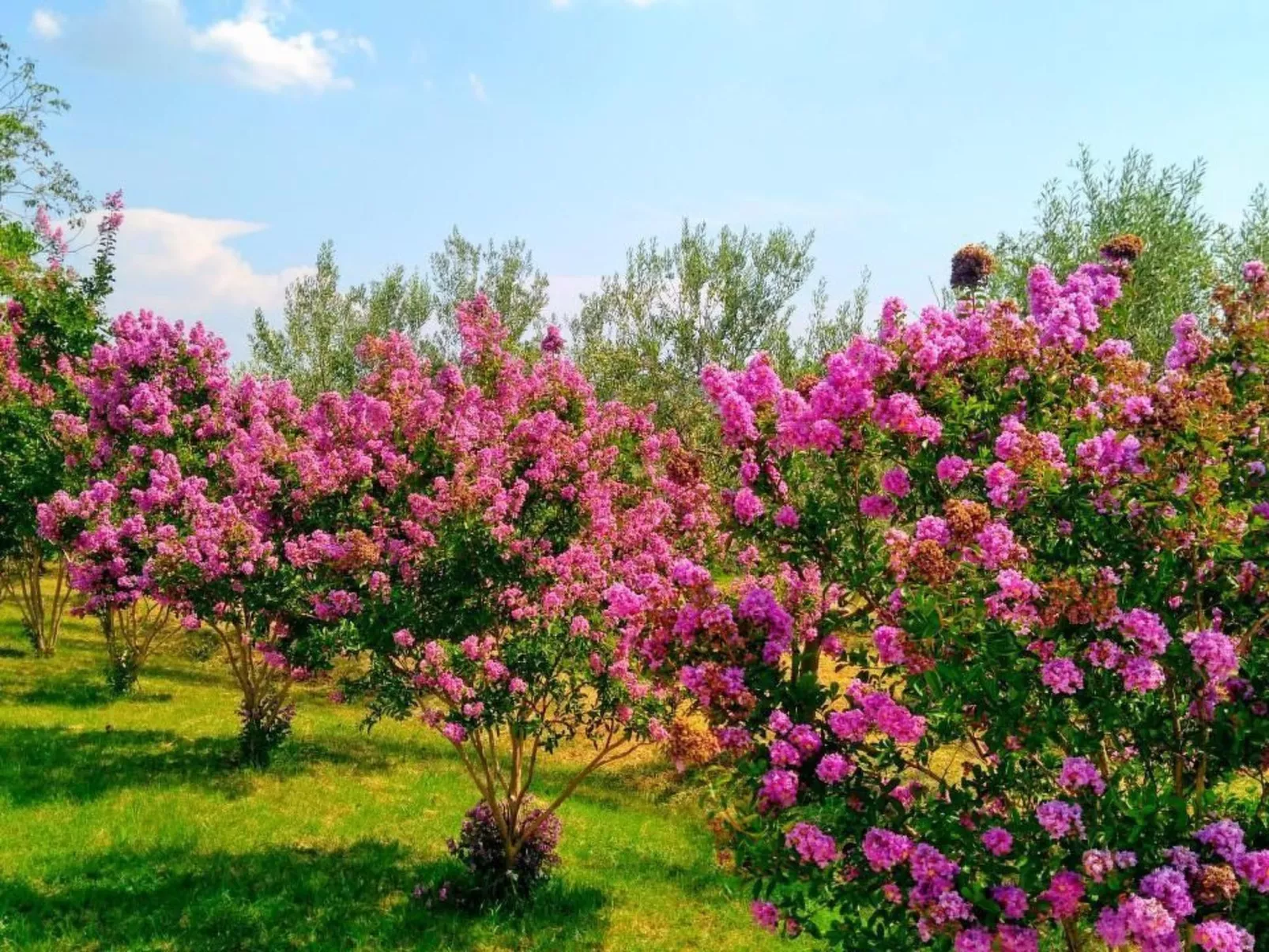Wohnung mit privatem Pool und herrlicher Aussicht-Outside